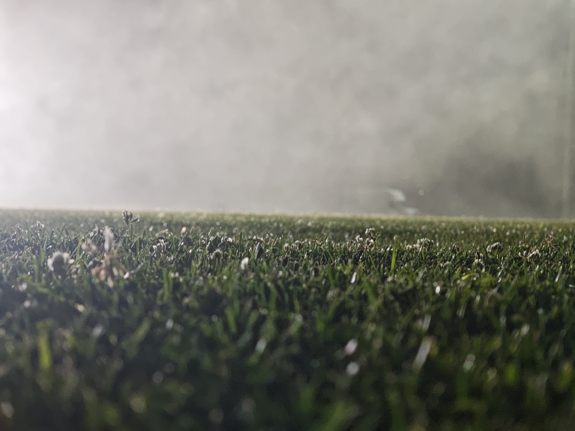 Foggy night soccer on a Tbilisi pitch under floodlights