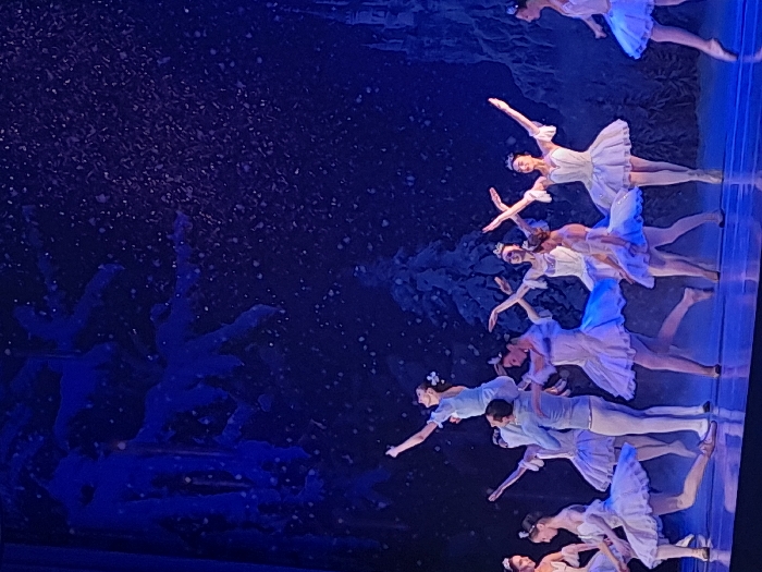 Ballet performance with starry backdrop staged in Yerevan