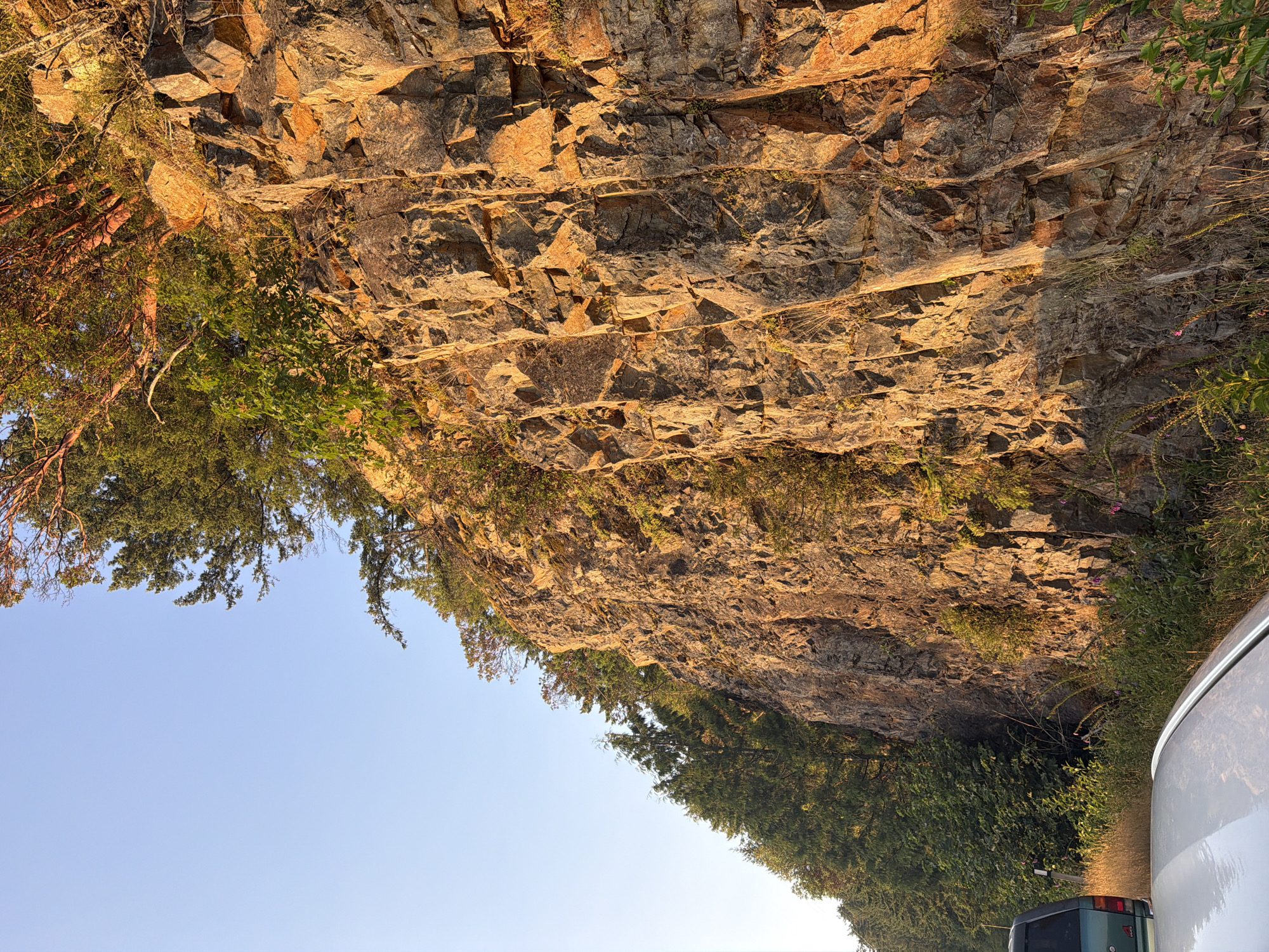 Sunlit cliff face with reddish-barked trees, Elaho/Garibaldi BC