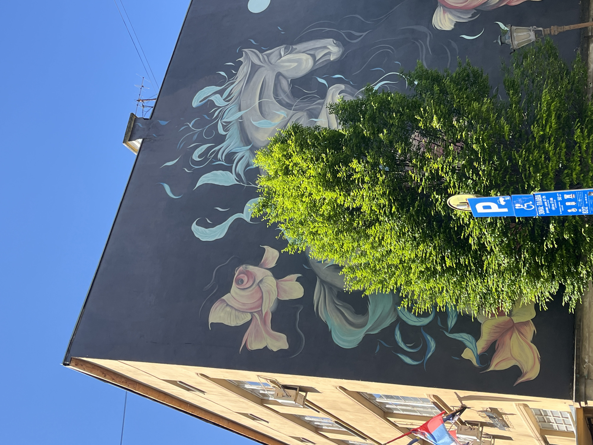 Street art and architecture documented in Novi Sad