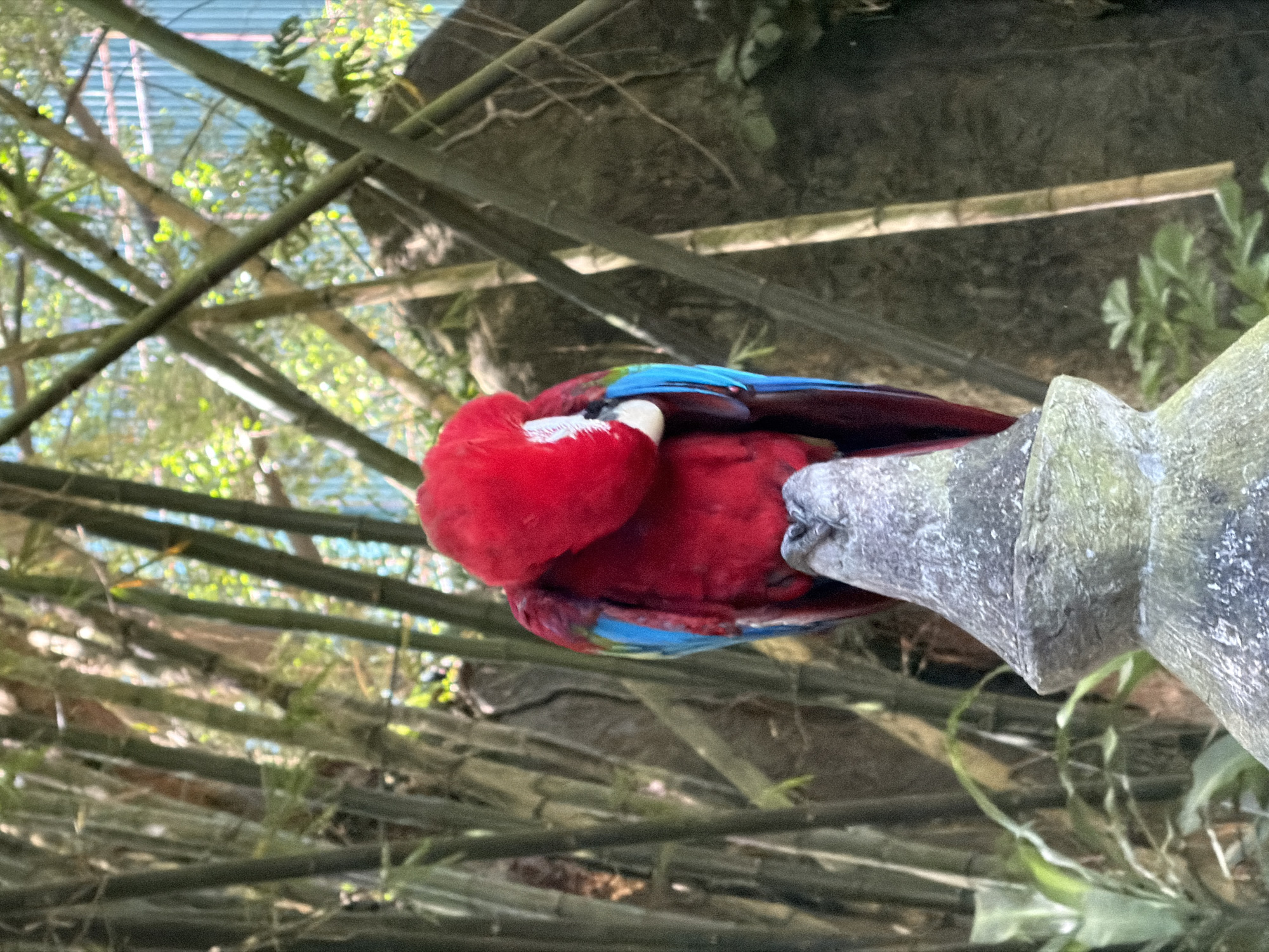 Safari and temple tour through Blahbatuh wildlife park