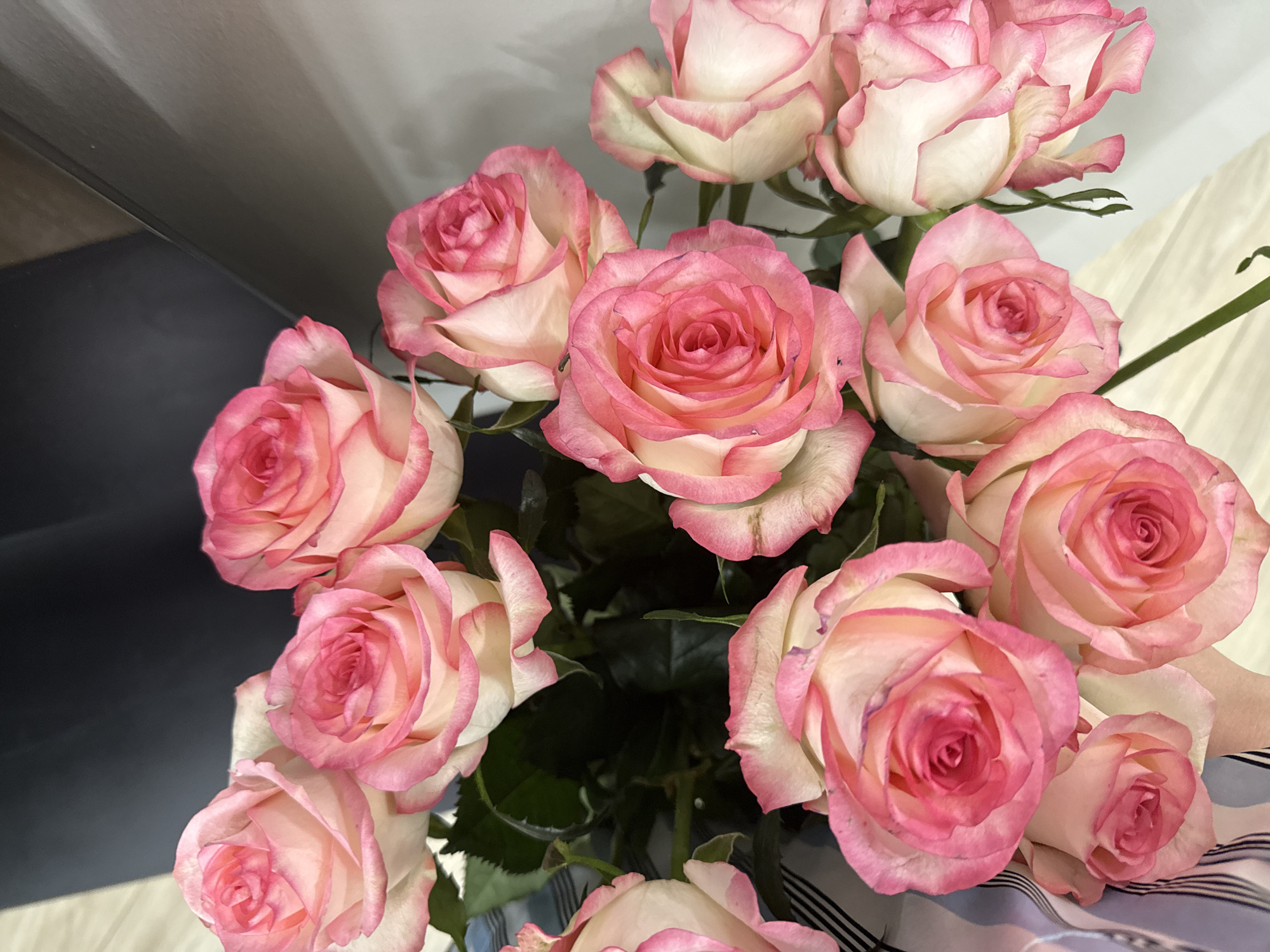 Pink and white rose bouquet spotted in Yerevan