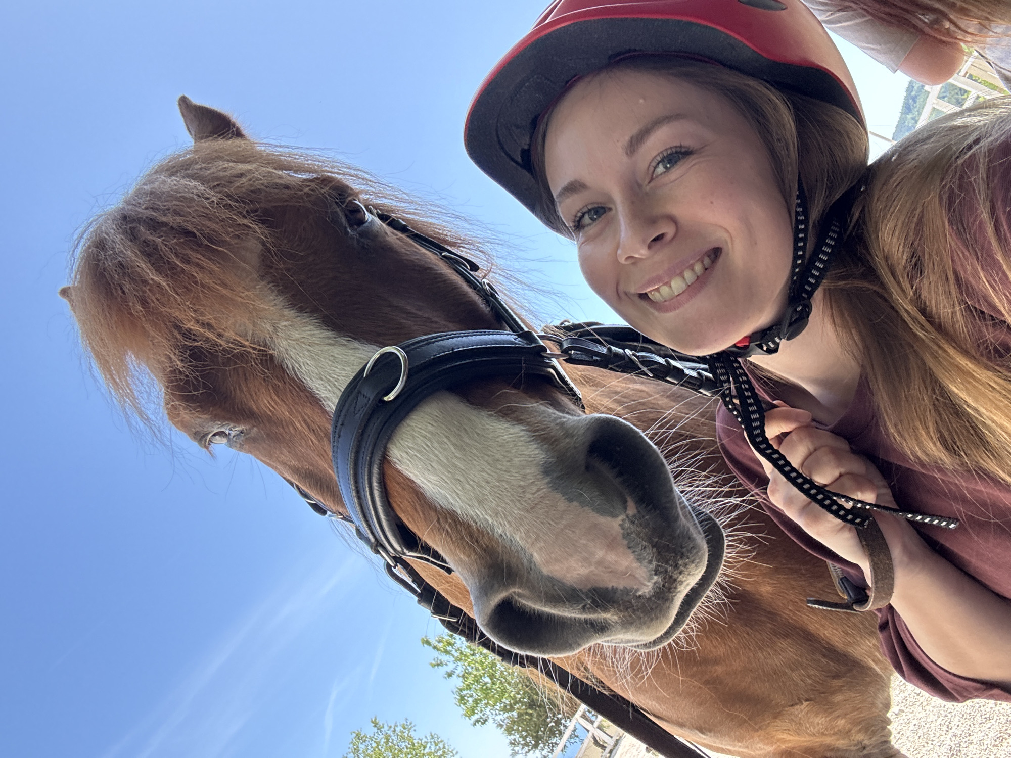 Woman takes horse selfies at Montenegro equestrian facility