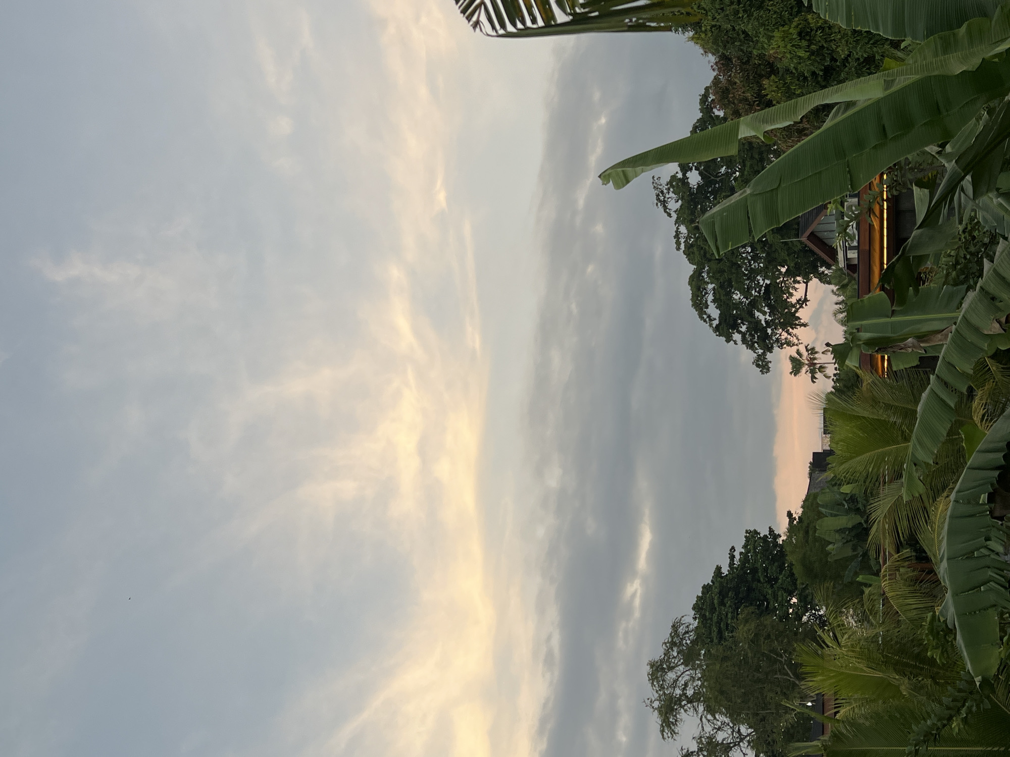 Peaceful tropical sunset scene documented in Ubud, Indonesia