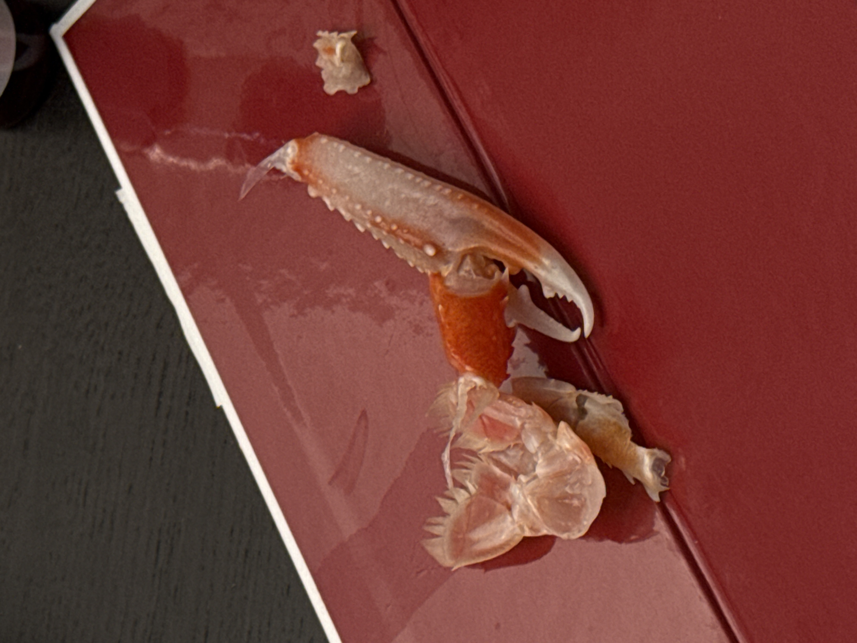Milan customer receives premium IPPO sushi delivery order