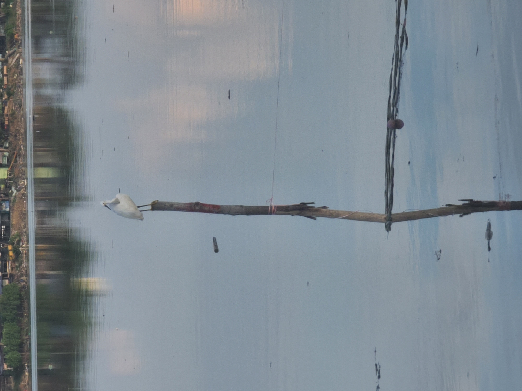 Wooden pole photographed over water in Lhokseumawe, Indonesia