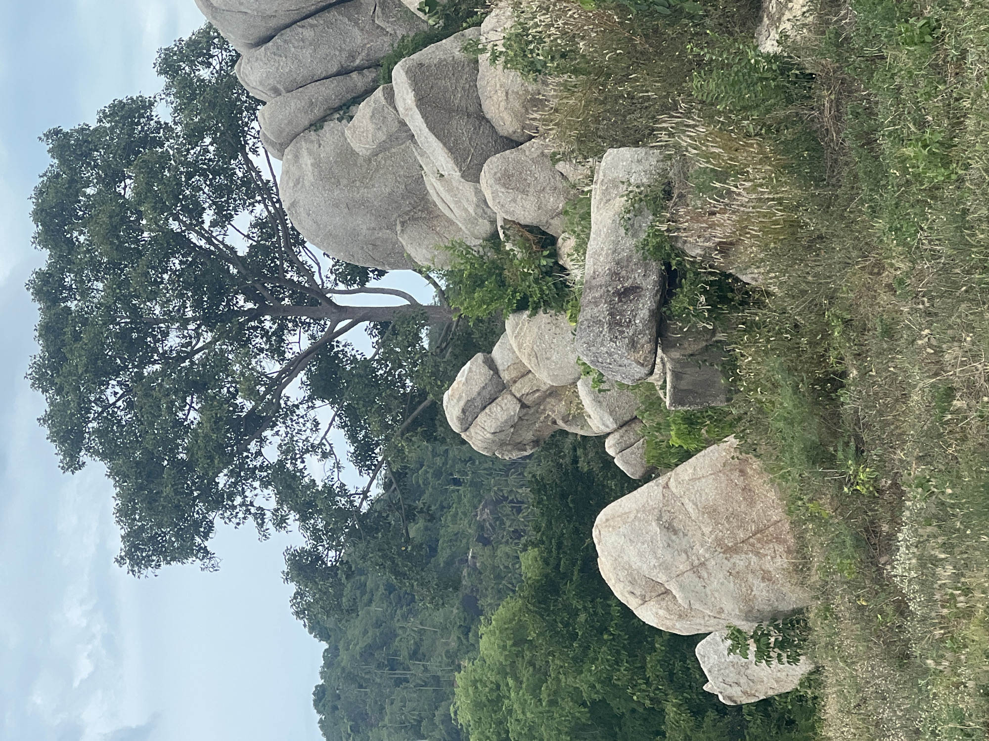 Granite boulders and tropical greenery along Ko Samui's coast