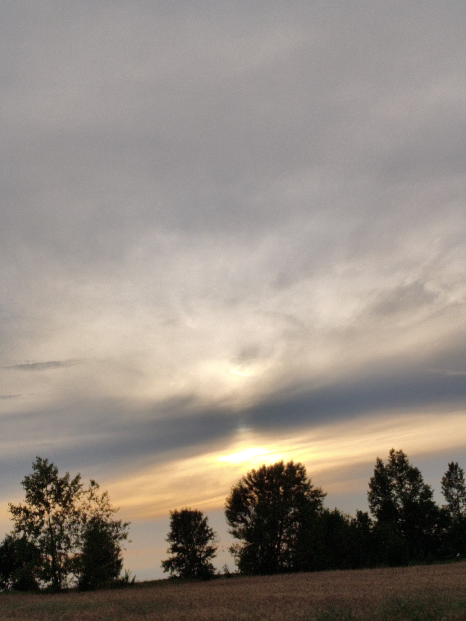 Cloudy summer sunset over rural Ustyvytsia, with a budgie cameo