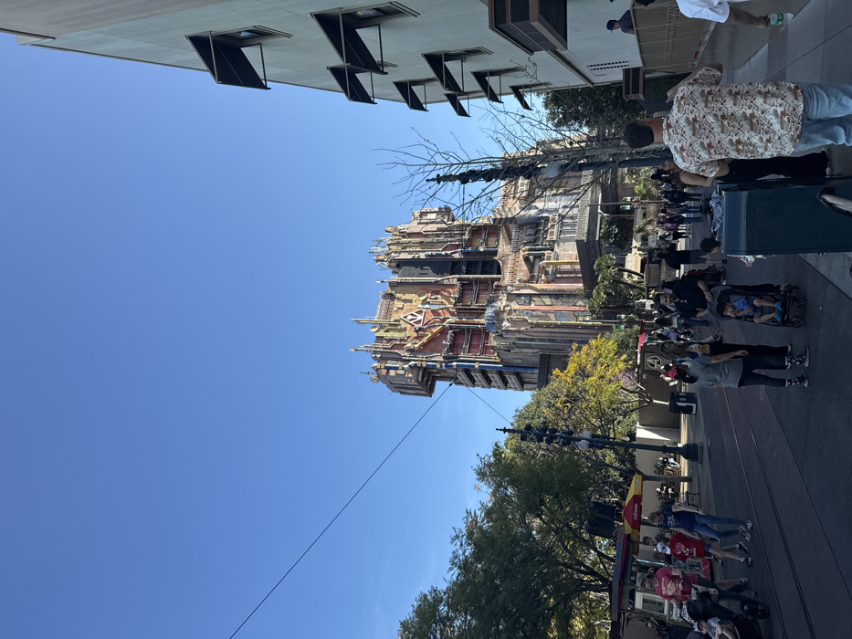 Disney California Adventure visitors capture typical park experiences