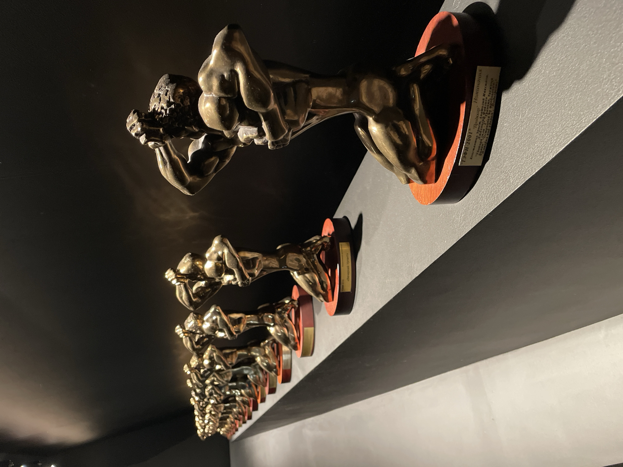Art gallery visits documented across Moscow exhibition spaces