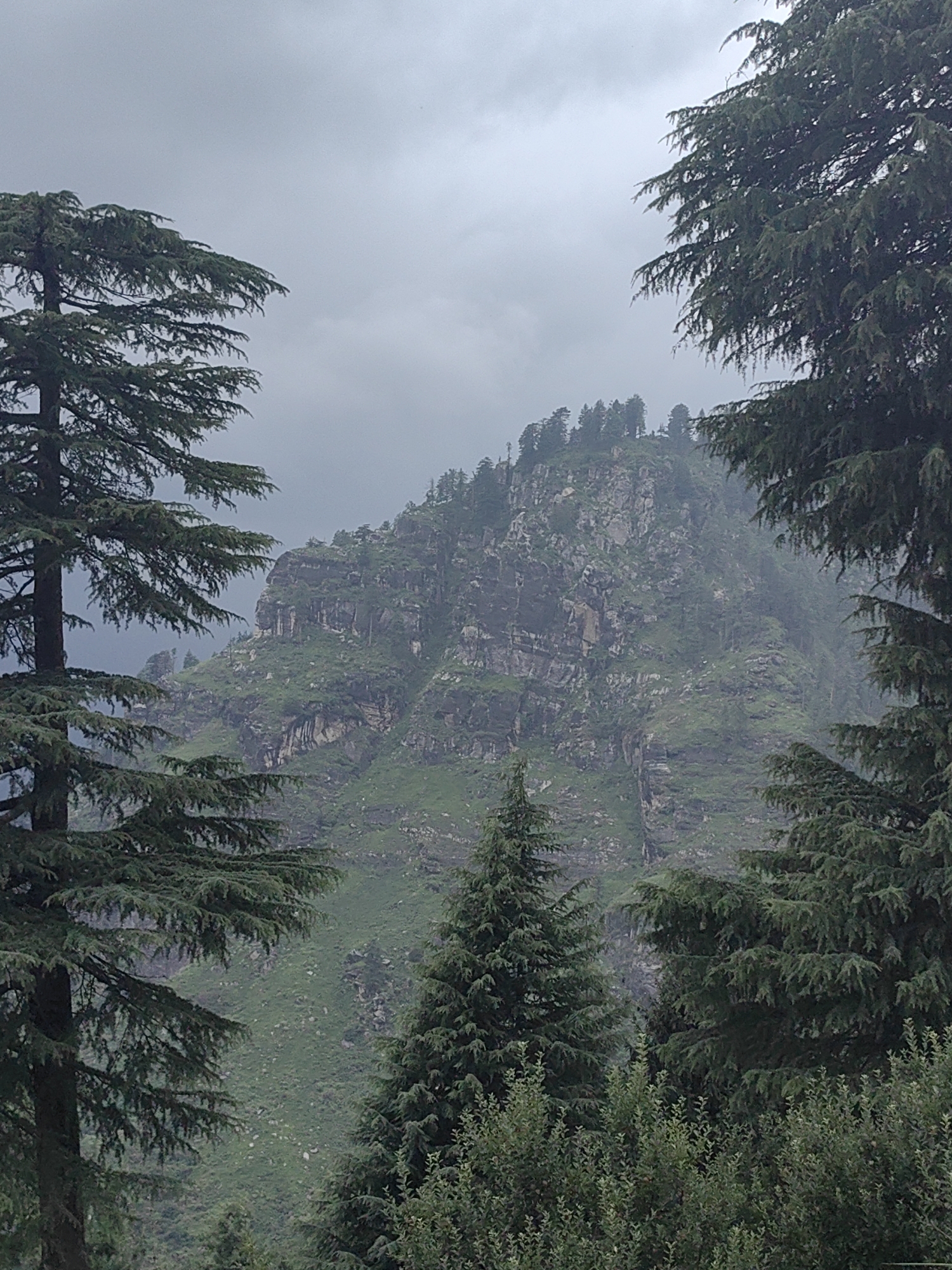 Prini, India