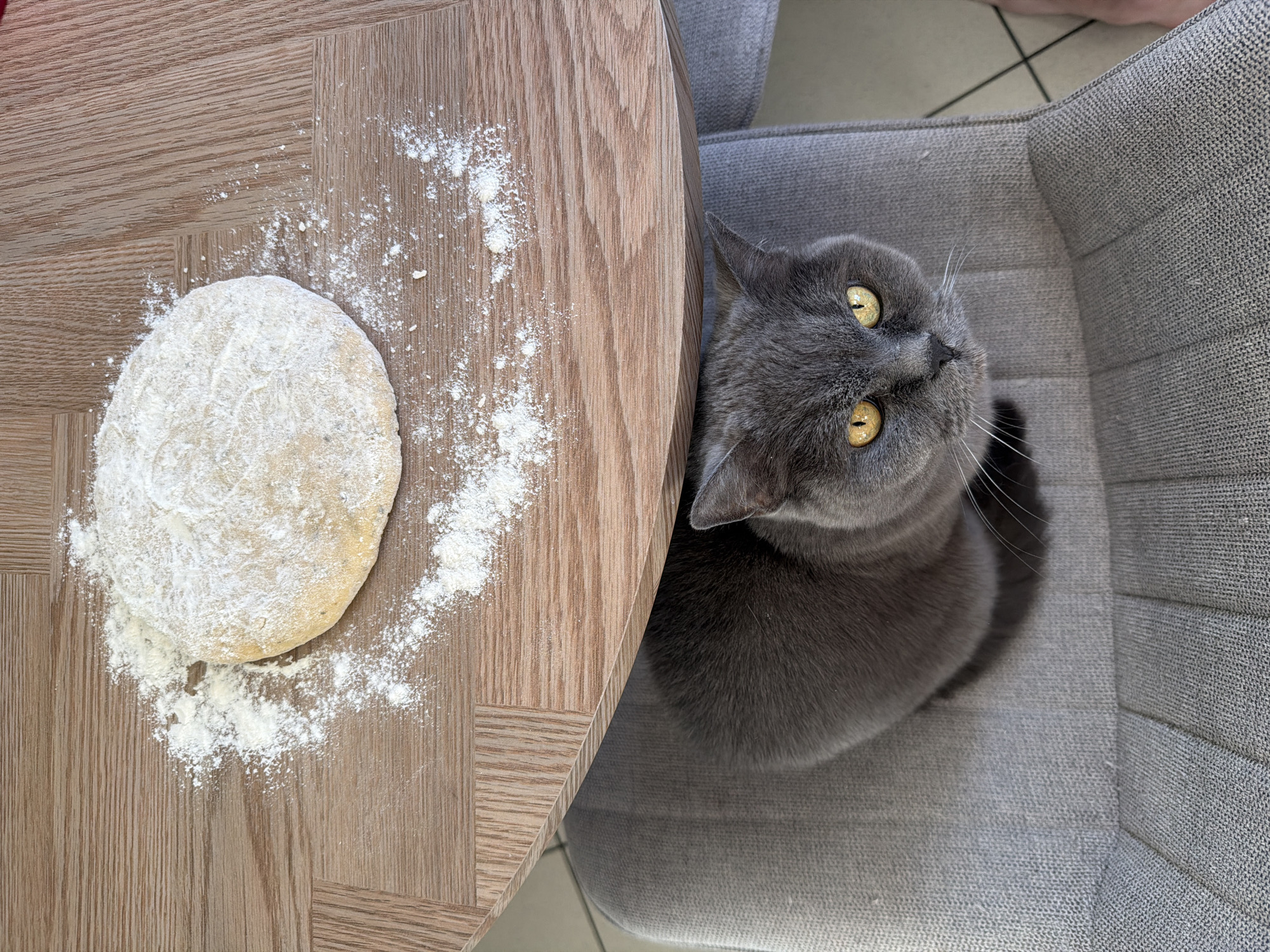 Home cook makes pizza in Riga kitchen, cat observes