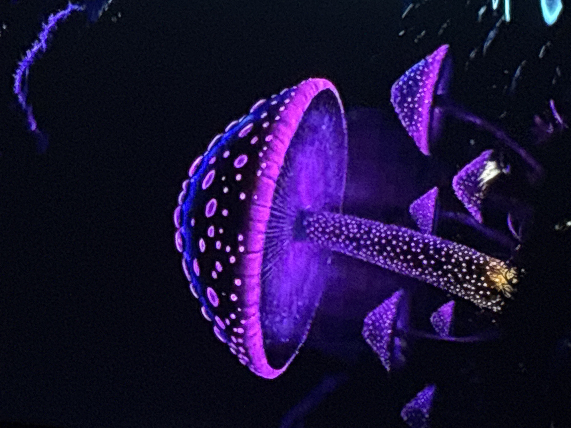 Surreal fantasy digital art series, bioluminescent themes throughout