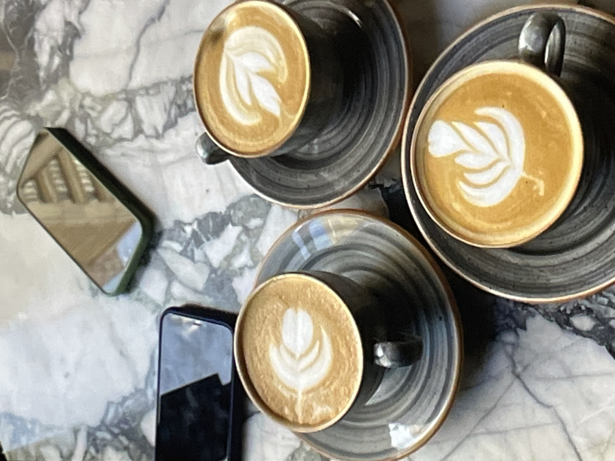Lazy morning: coffee, cats, a hotel room, and a video call