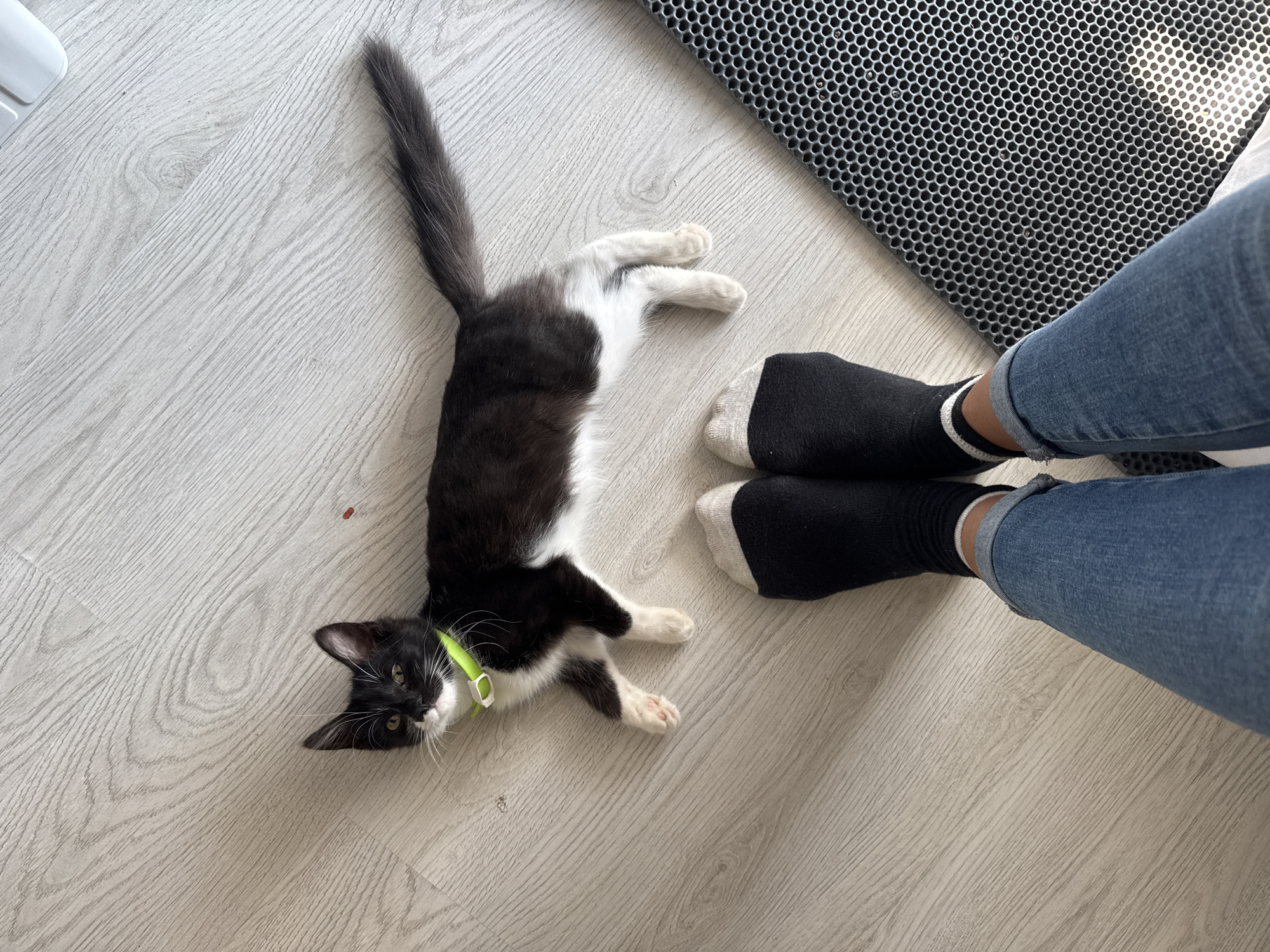 Lazy afternoon in Kempelevo: toy cars, a kitten, and a porch