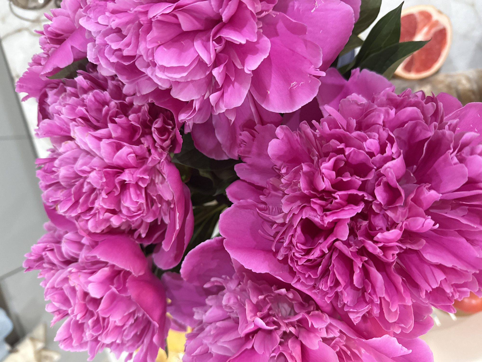 Vibrant pink and white flower bouquet documented in Kazan