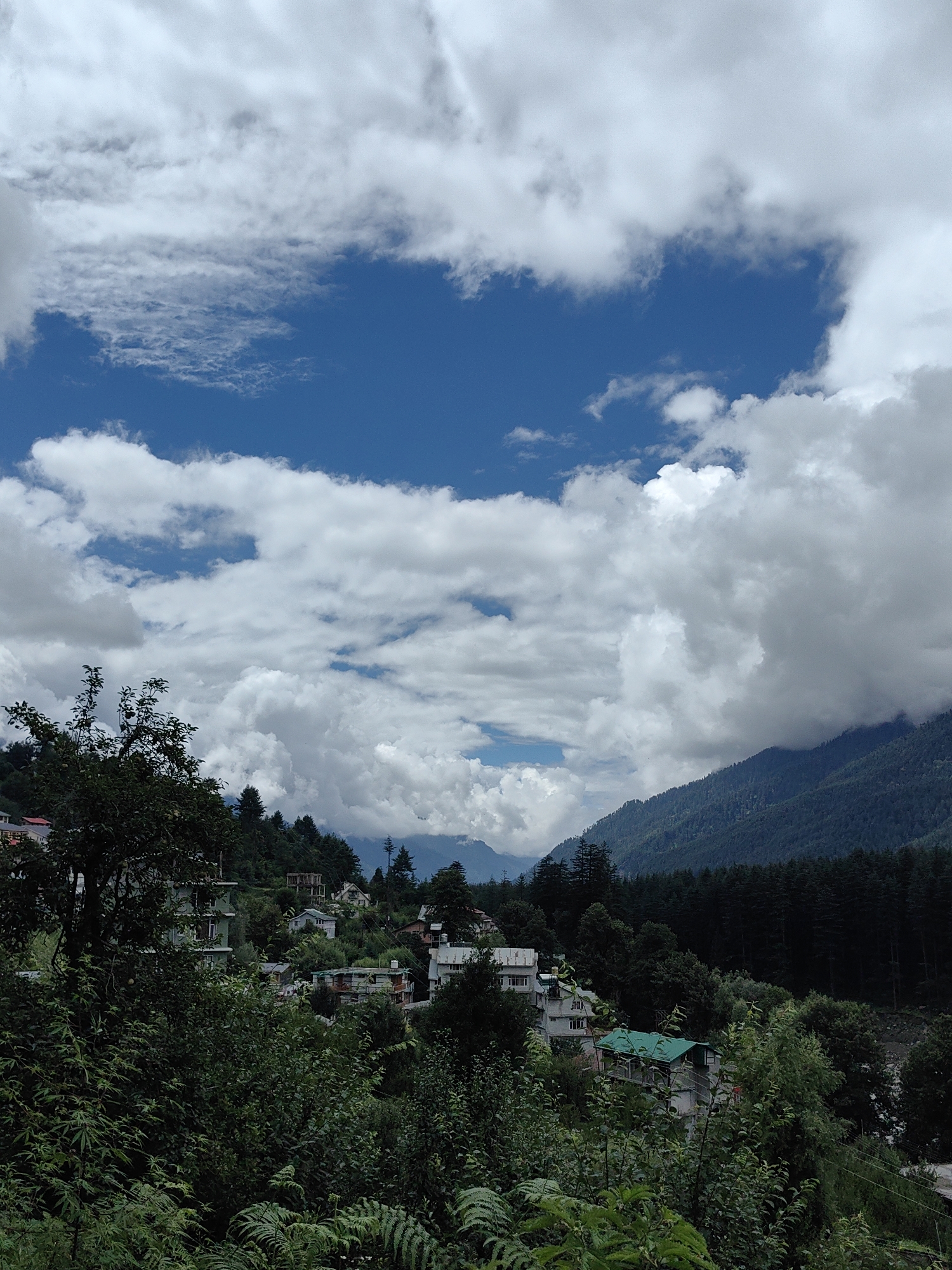 Manali valley in monsoon: forests, overcast peaks, and a churning river