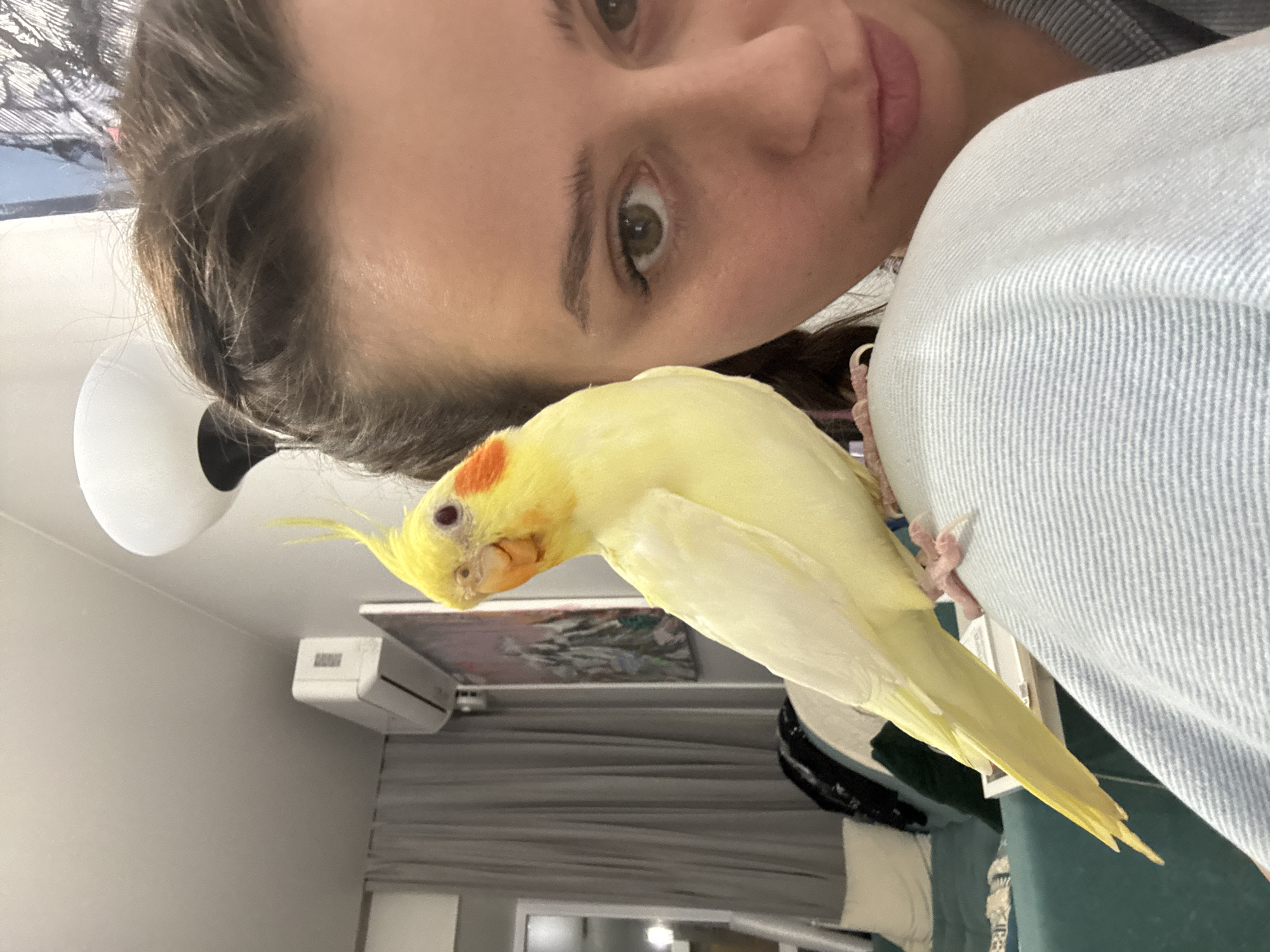 Woman poses with yellow cockatiel indoors in Krasnoyarsk