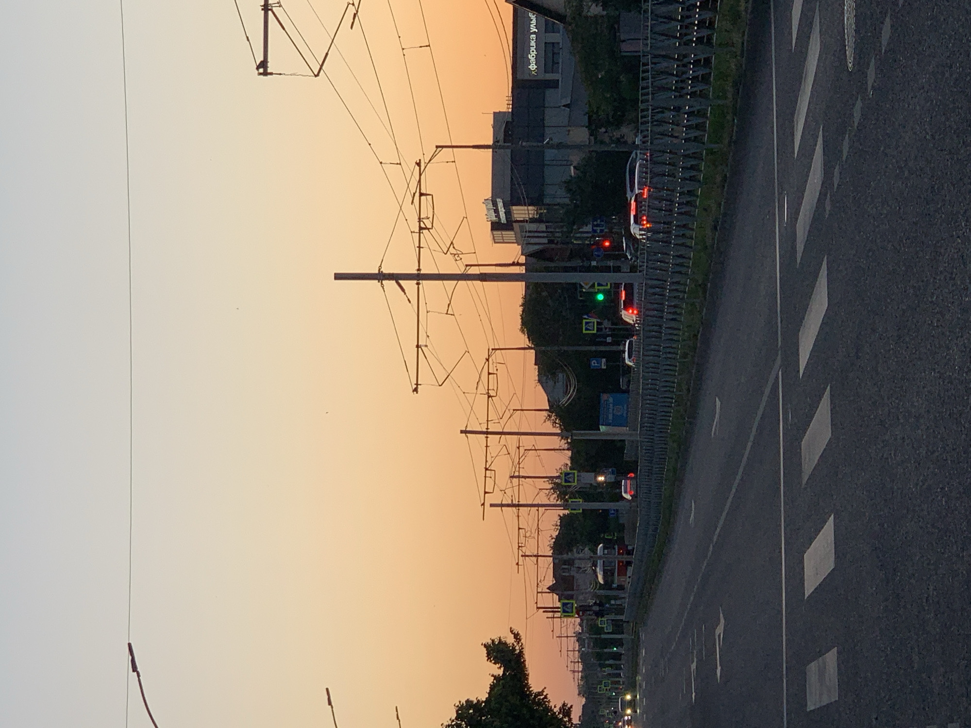 Flowers in bloom and tram streets at golden hour