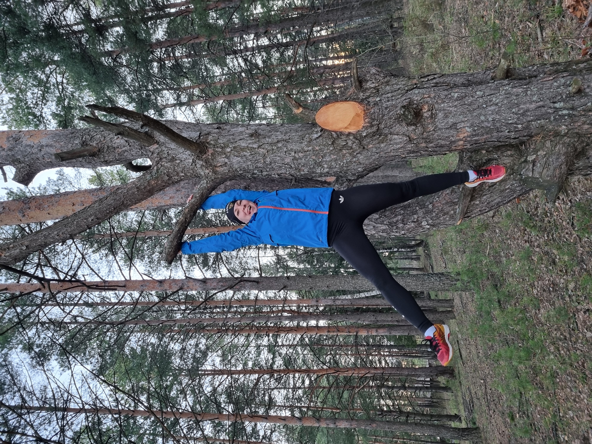 Forest outing documented in Прикамский, Russia spring afternoon