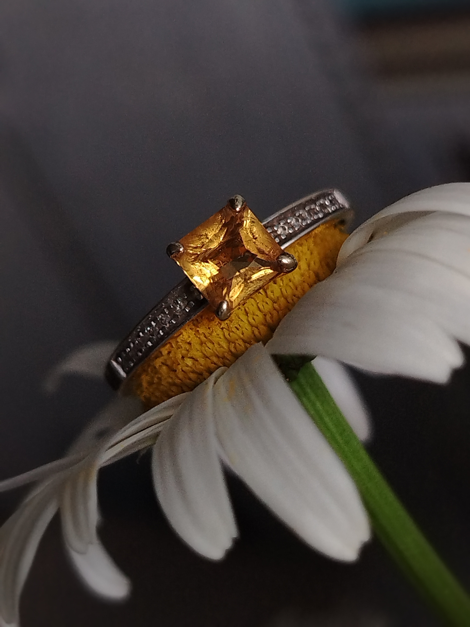 Rings, brooches, and pendants styled in close-up detail shots