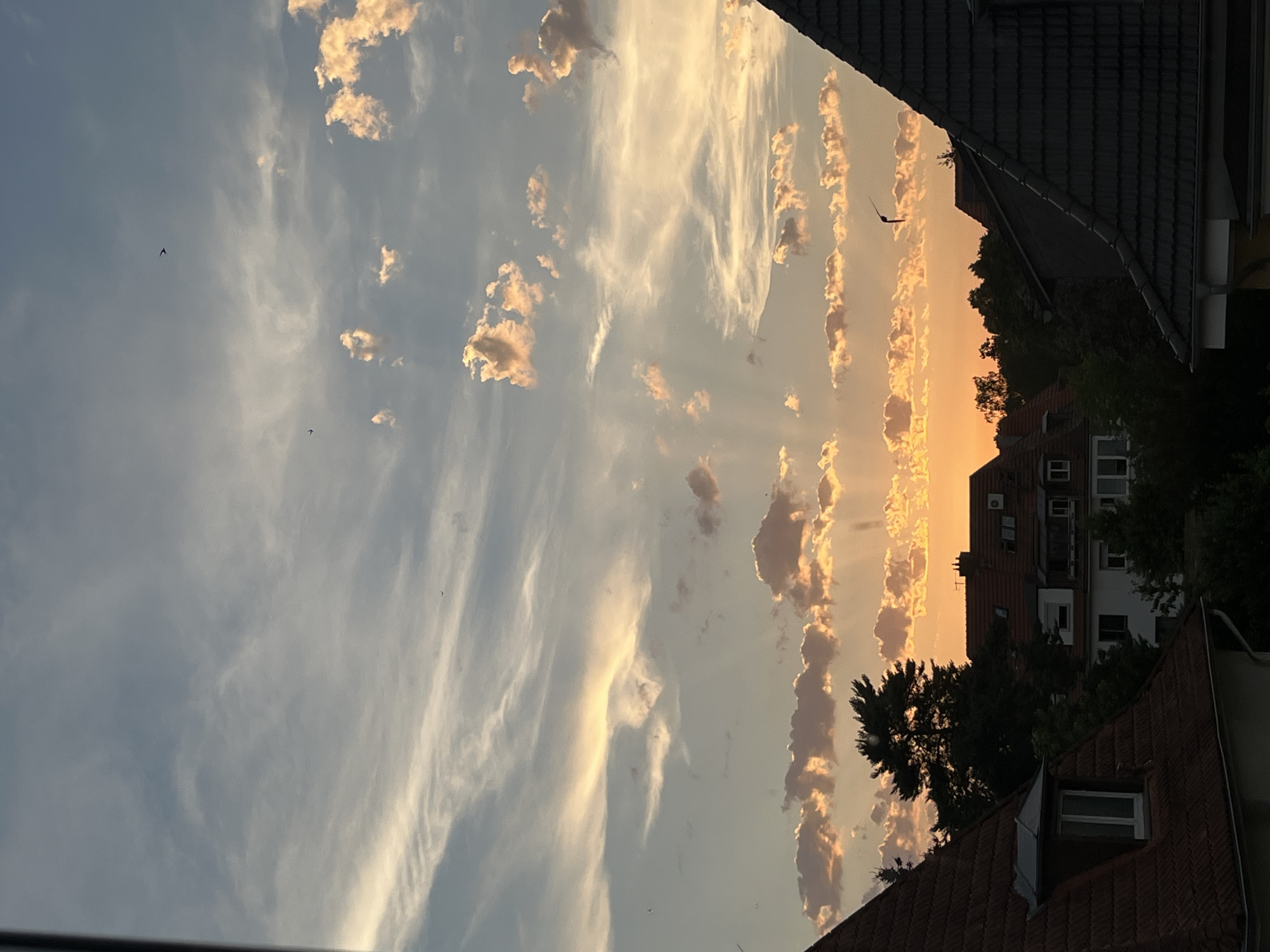 Golden sunset clouds over Saarbrücken rooftops, birds in flight
