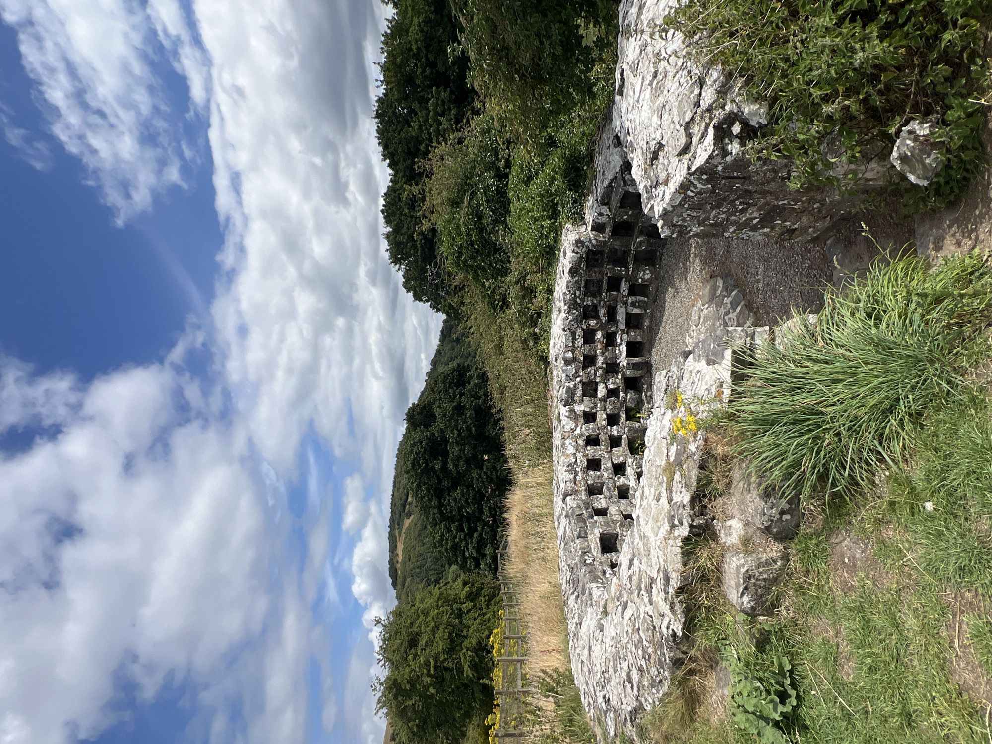 Ancient stone ruins surrounded by wildflowers on a cloudy afternoon