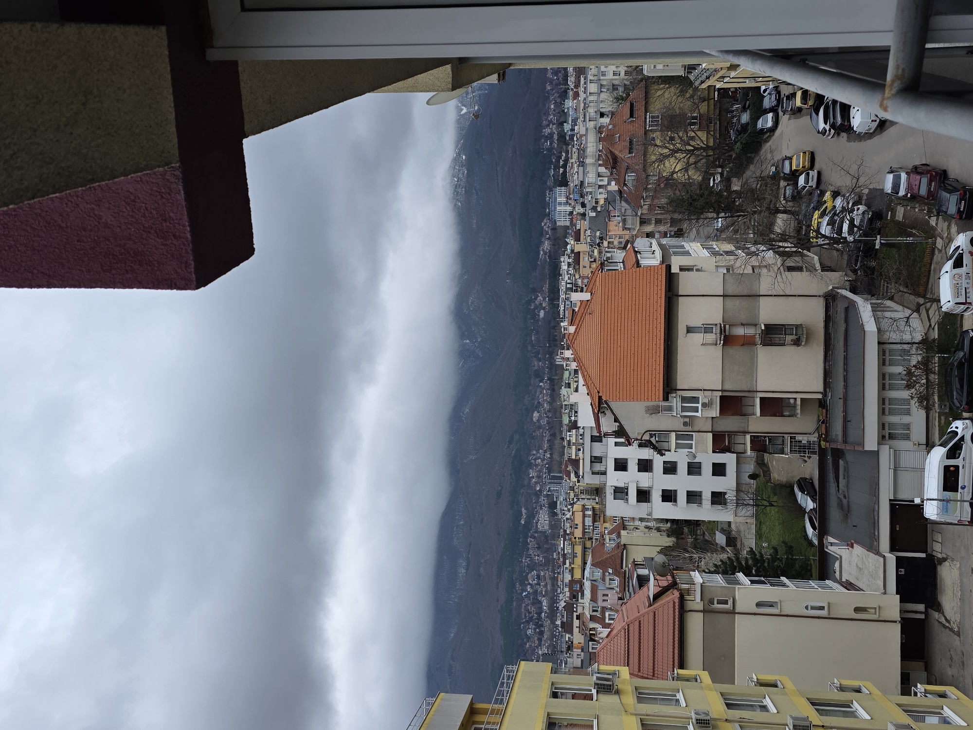 Sofia residents capture ordinary moments: cityscape, costumed pet, shopping delivery