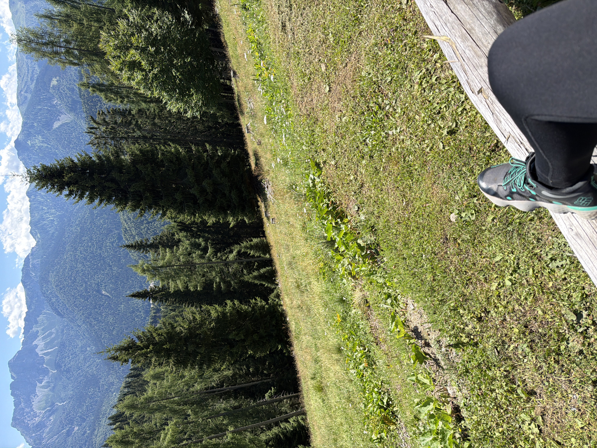 Trail bikes and mountain meadows in Lateis on a summer afternoon