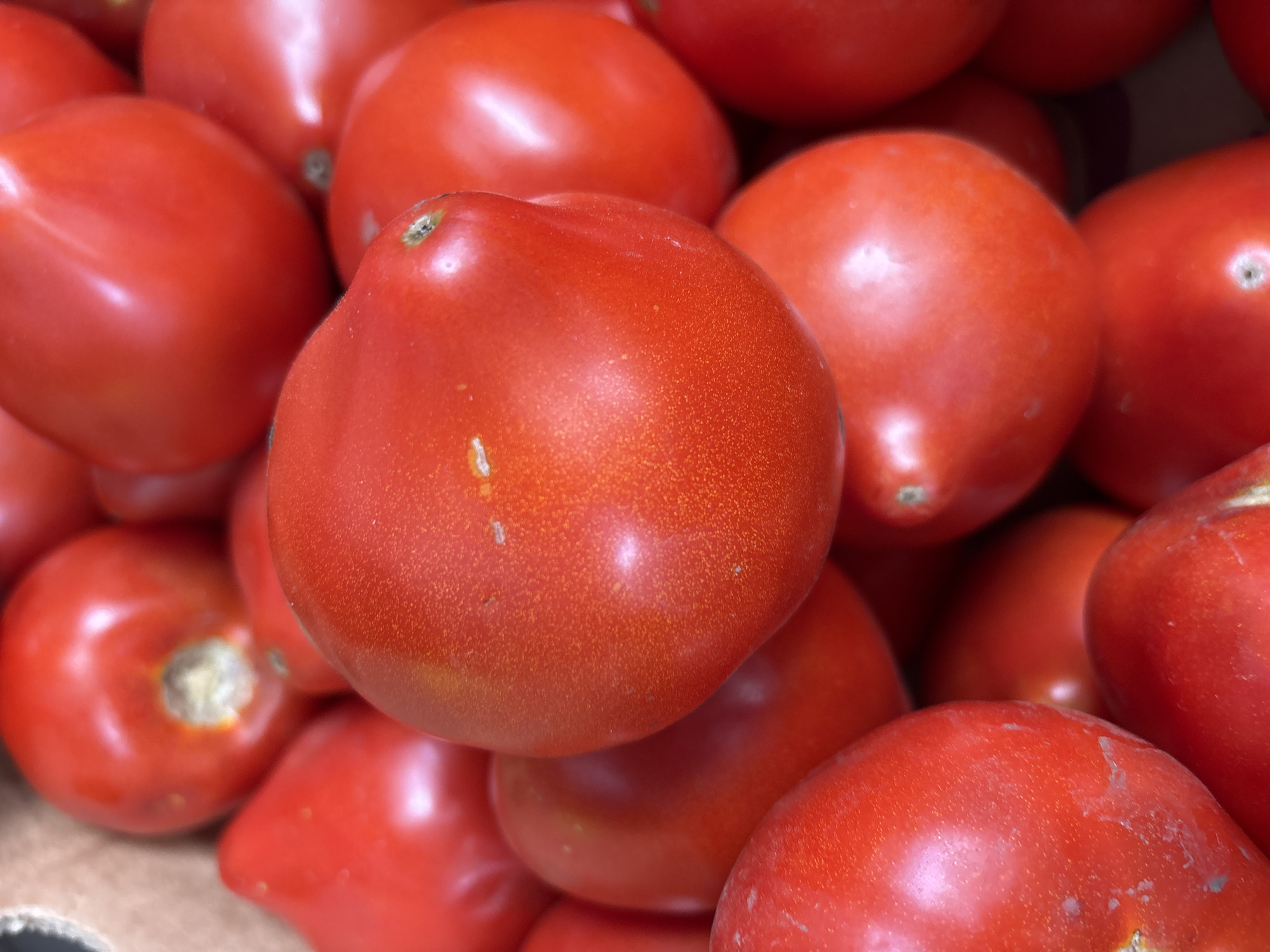 Late-summer produce on display at a Zvenigorod market