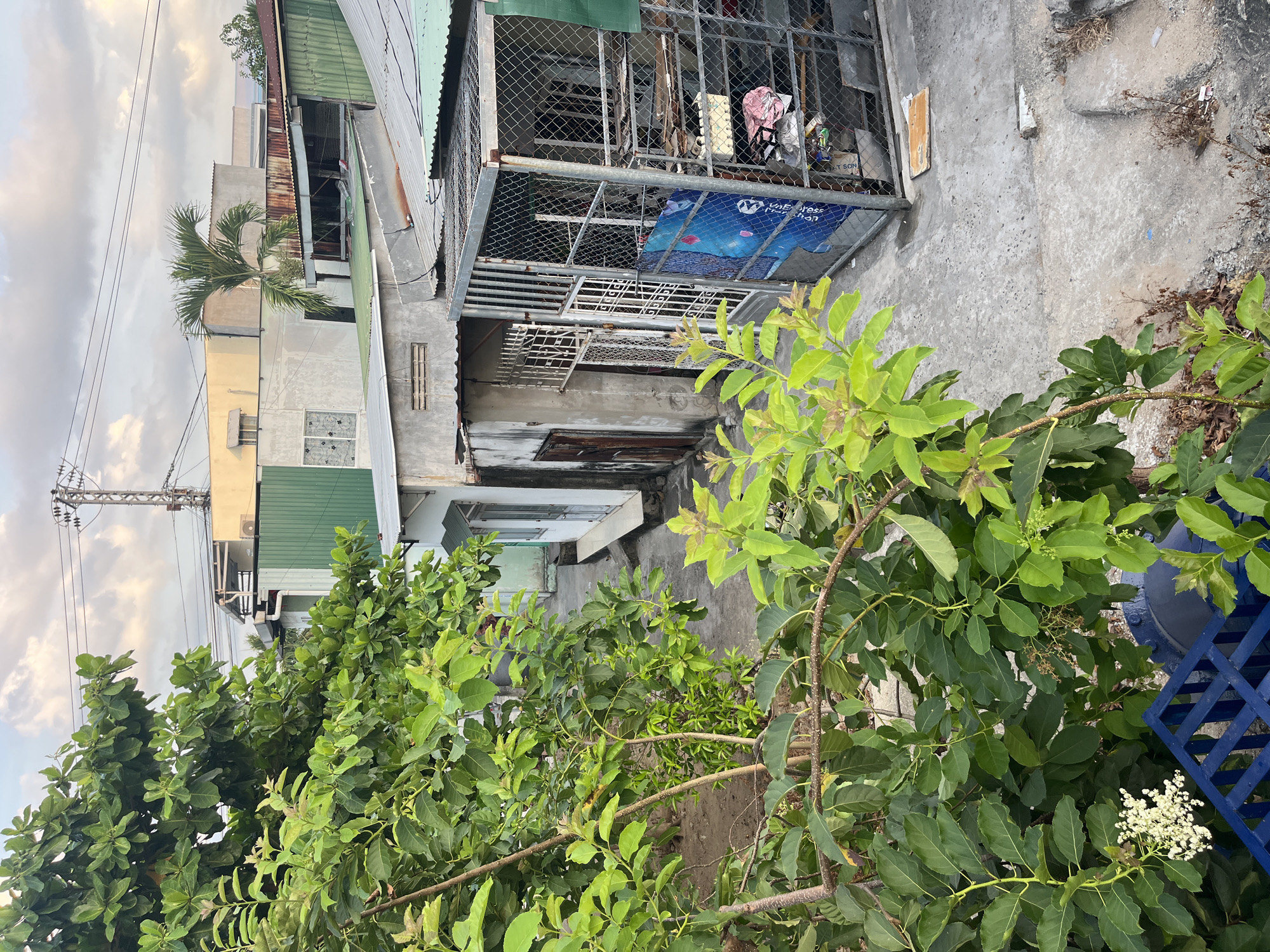 Evening documentation captures diverse Nha Trang Ward scenes