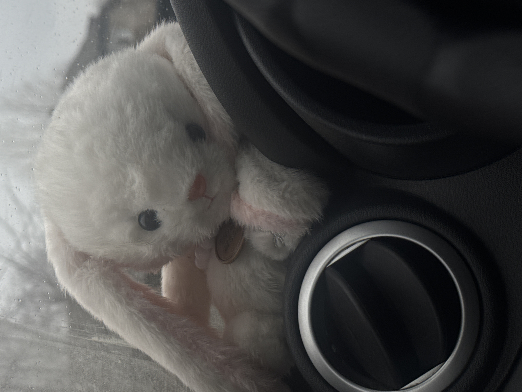 Stuffed bunny spotted on car dashboard in Perm