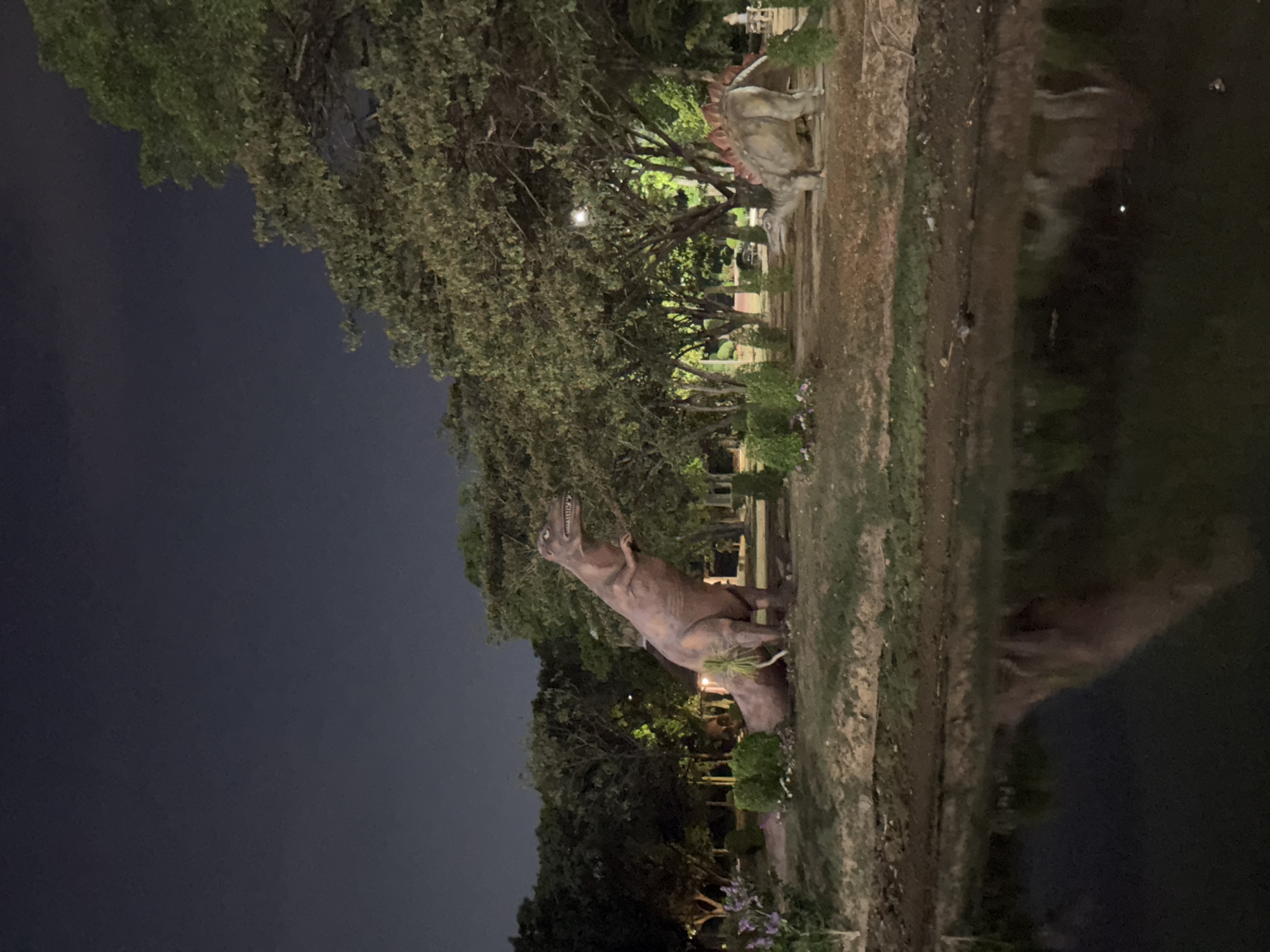 Nighttime scenes captured across Phuket: dinosaur model, palm tree, feeding cat