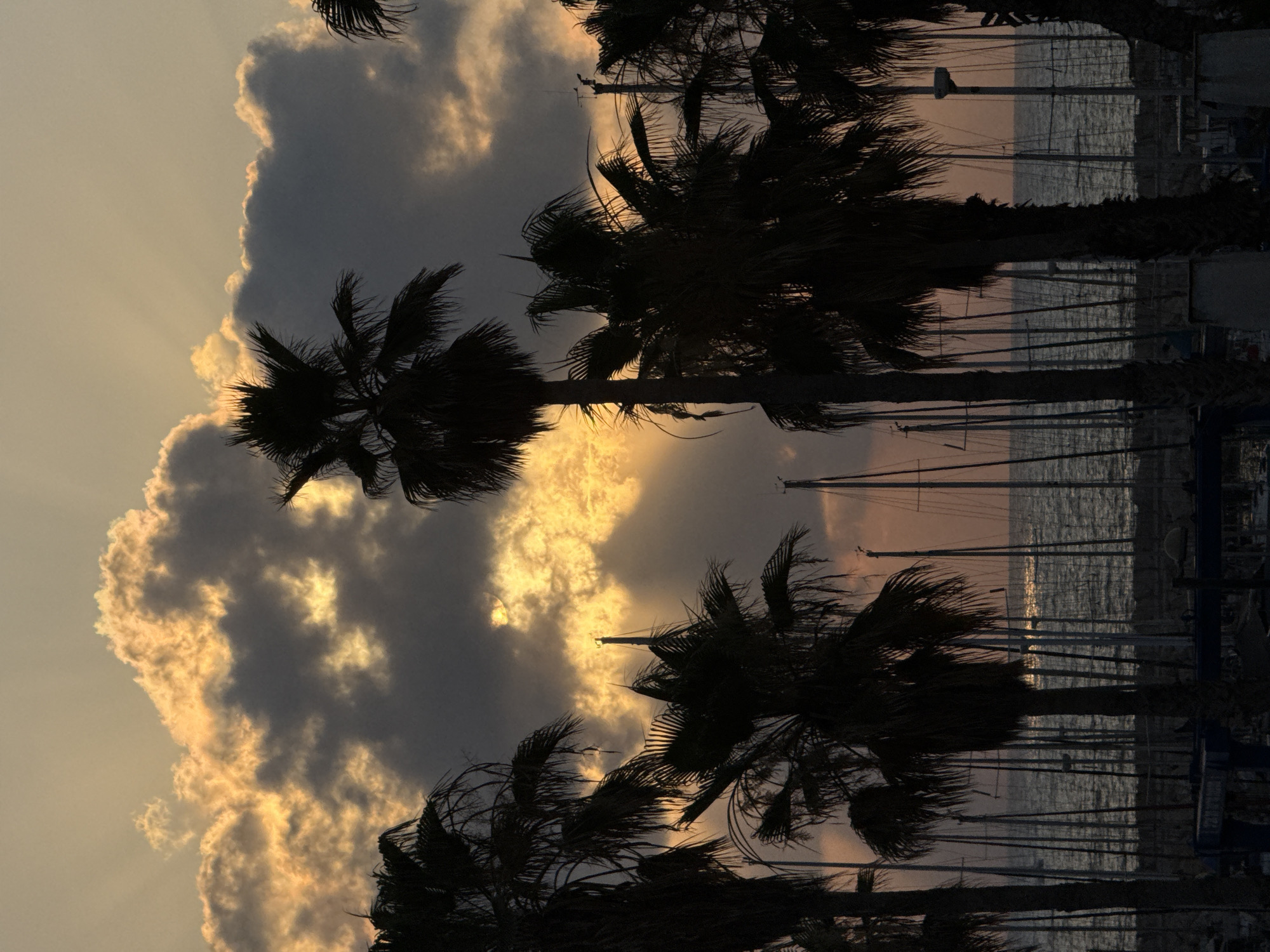 Sunset to nightfall in Tel Aviv: marina views and dancing