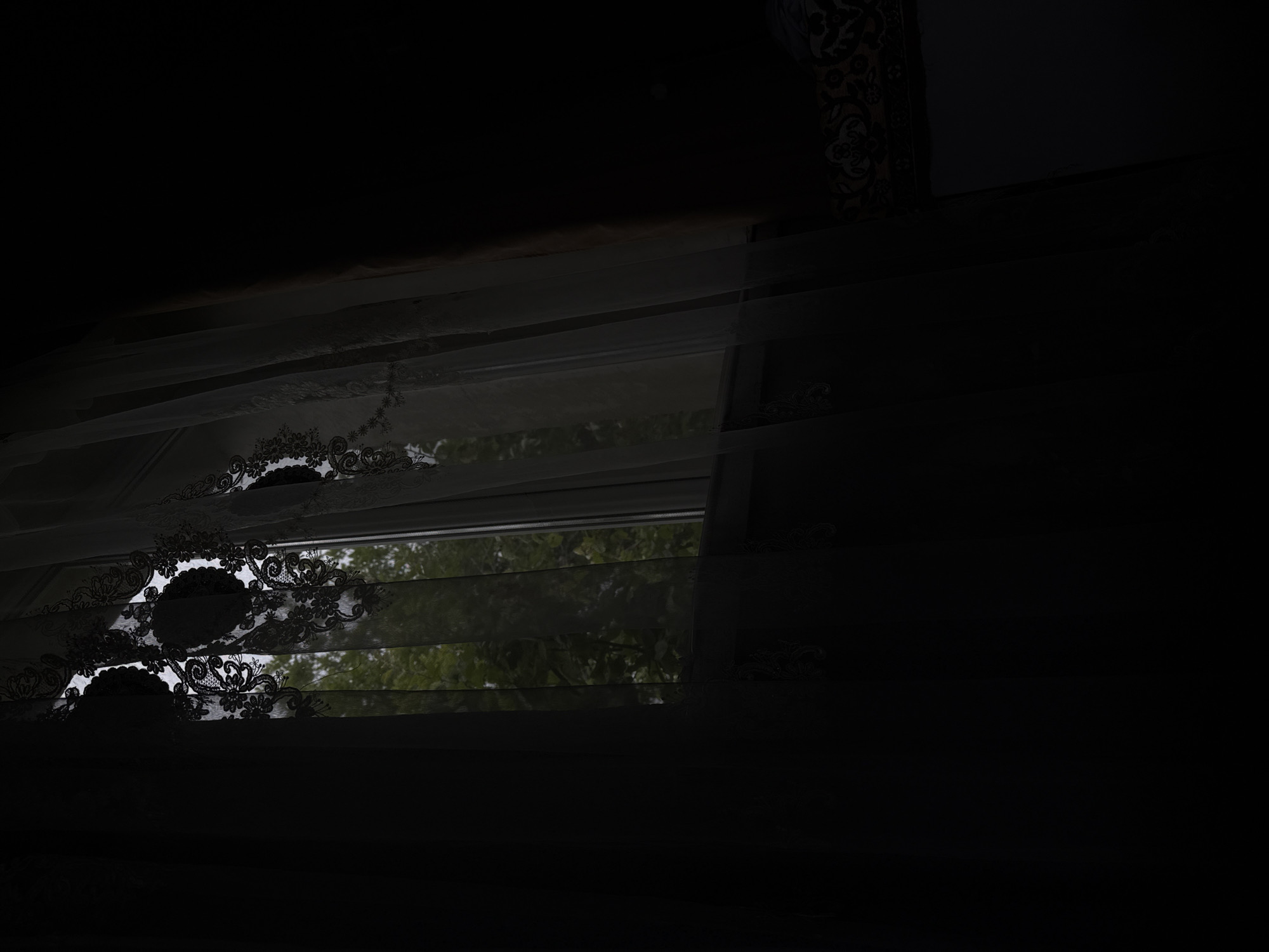 Observer documents hourlong sequence of wildlife, foliage, urban views