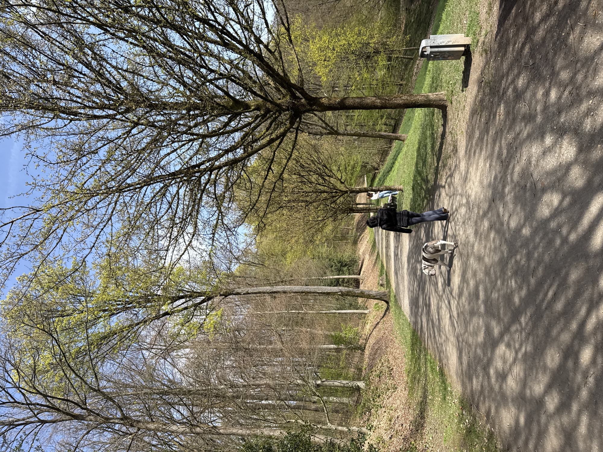 Dog walker enjoys spring morning in Wuppertal park