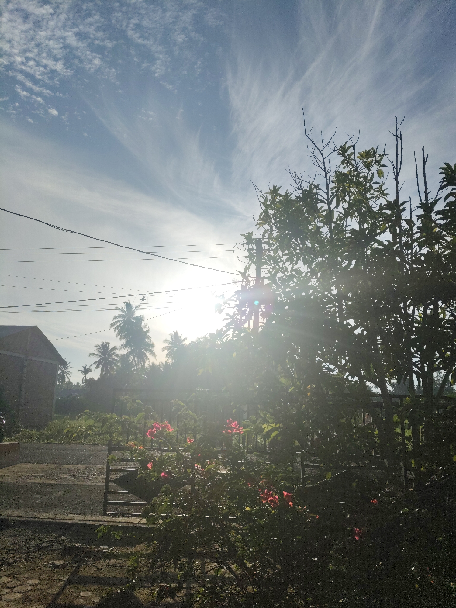 Flowering plants and fresh guava in Keude Jangkagajah