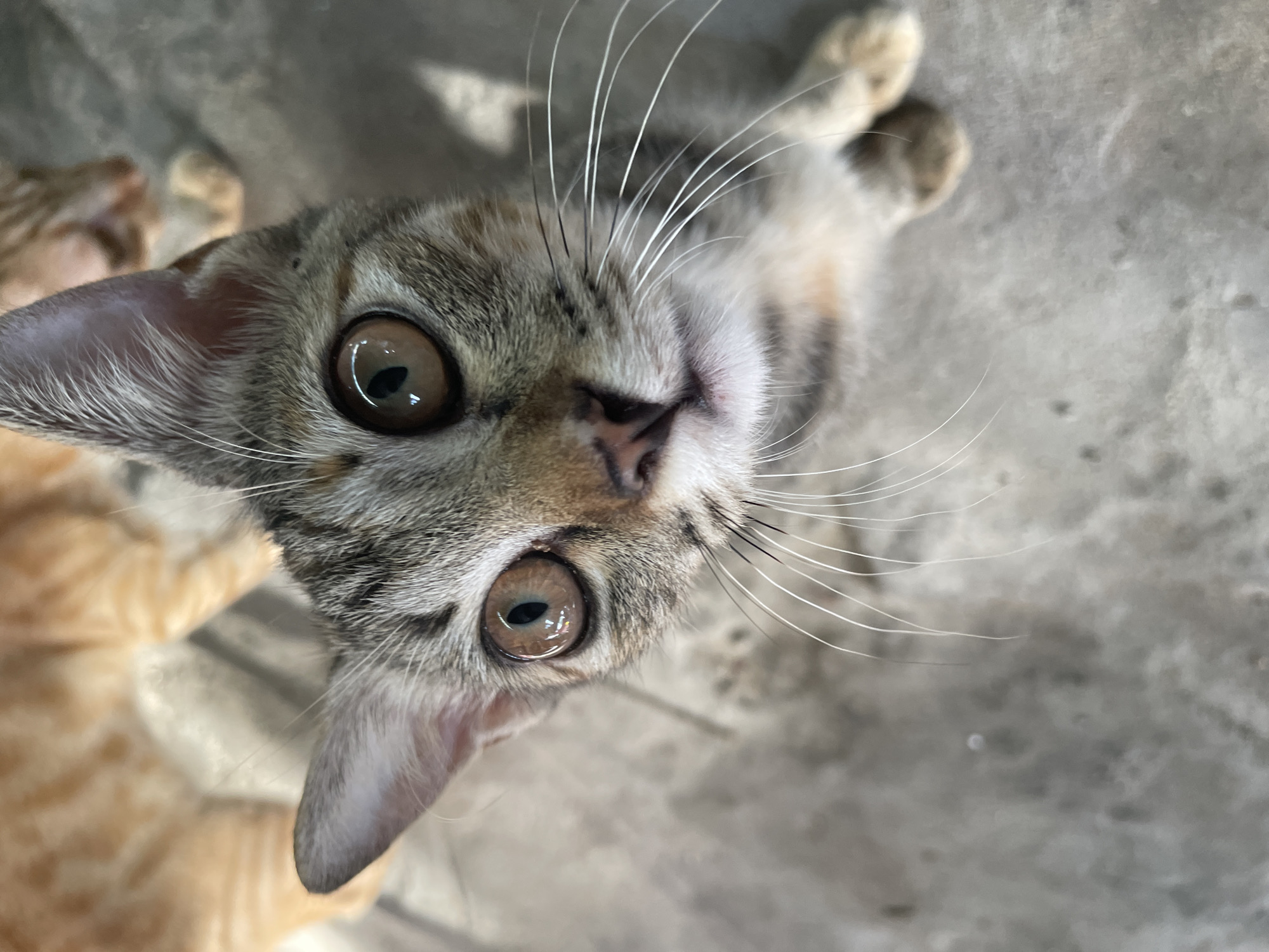 Street scenes and everyday life in Phu Thuy Ward, Vietnam