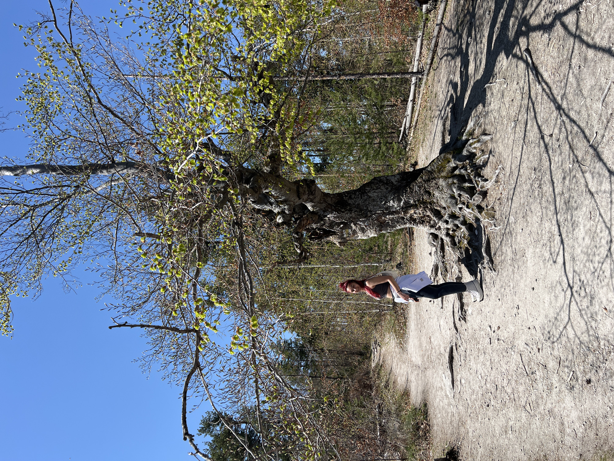 Woman poses beside ancient tree in Vrata, Bulgaria