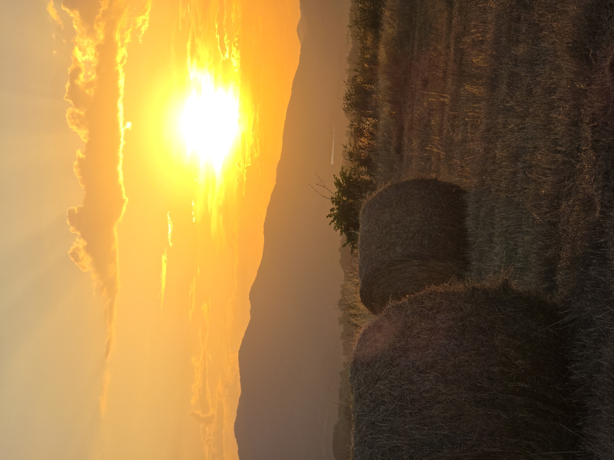 Golden hay bales in a Bulgarian field at sunset