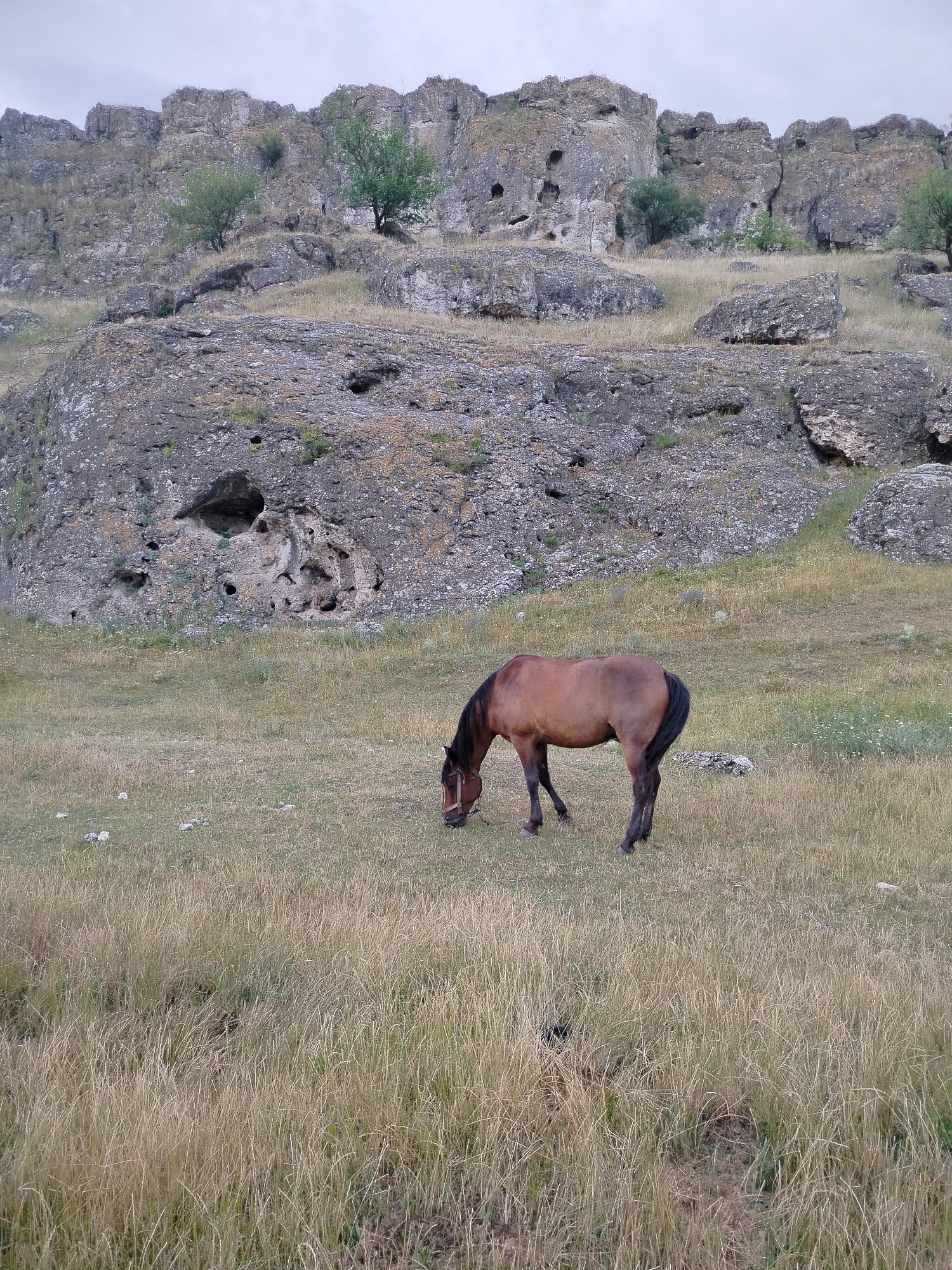 Horse grazing near rocky hills and water in rural Moldova