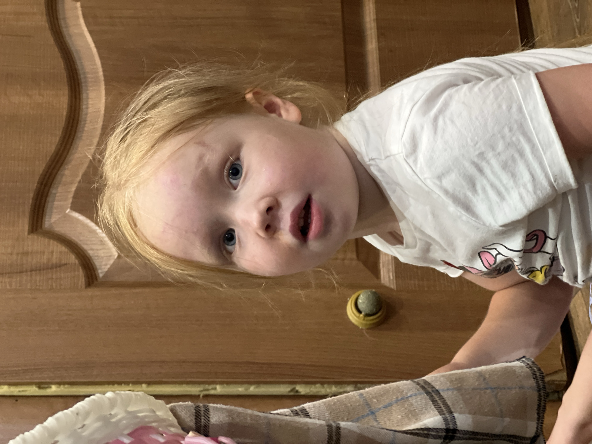 Kid, cats, and makeup play in a Ukrainian home