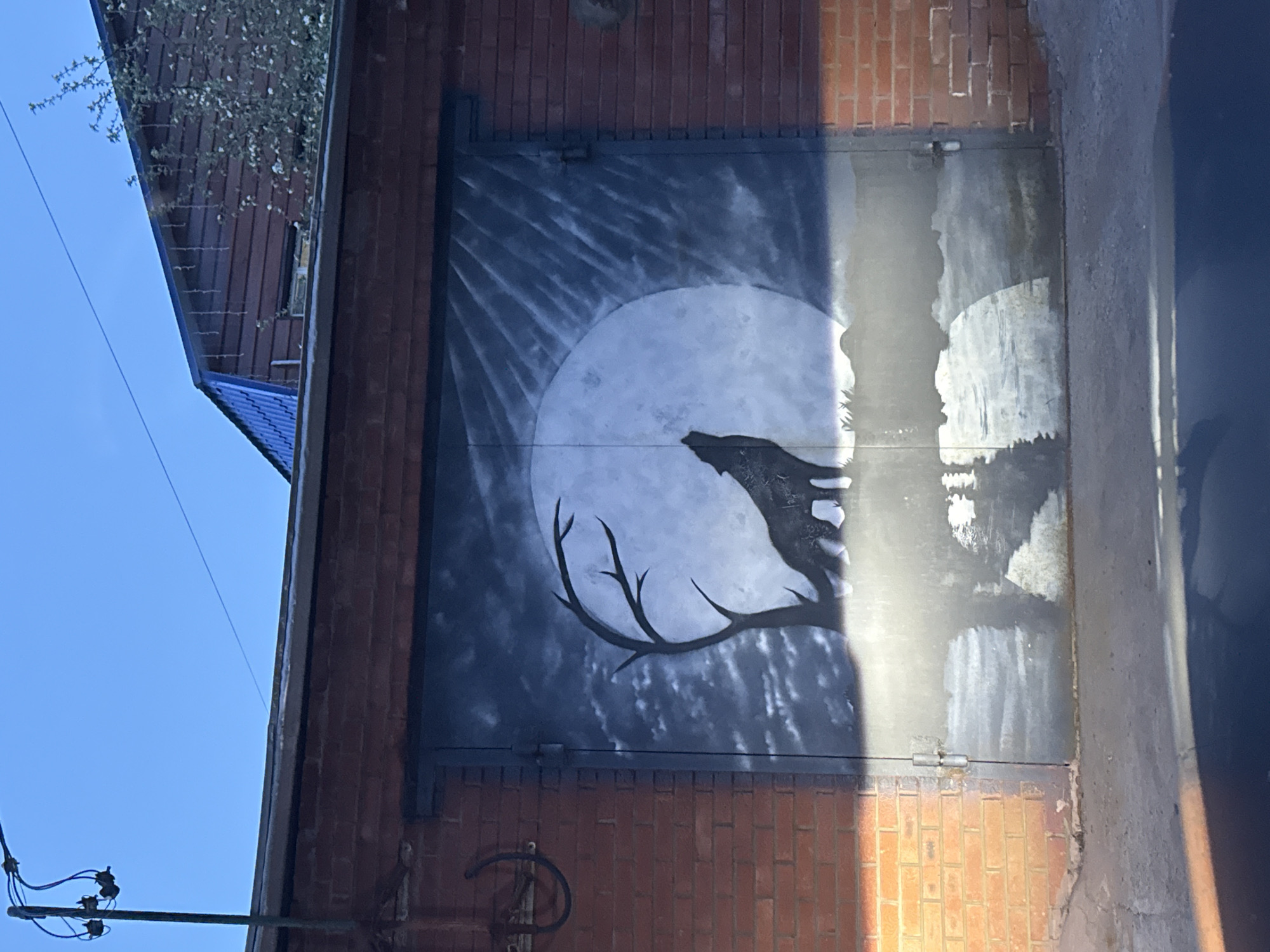 Wolf moon mural spotted on building door in Votkinsk