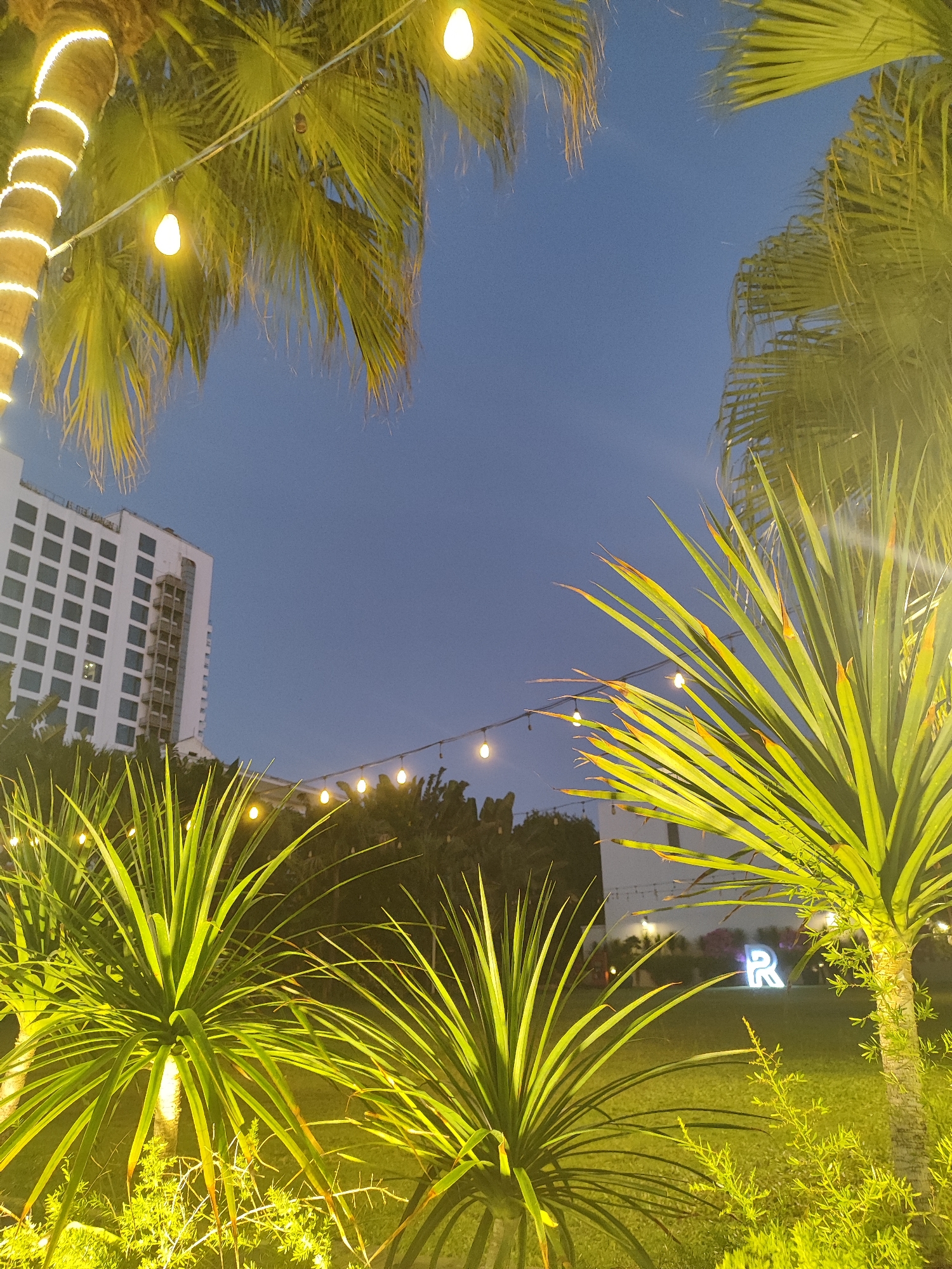 Cafes, resort vibes, and street scenes in Đà Nẵng