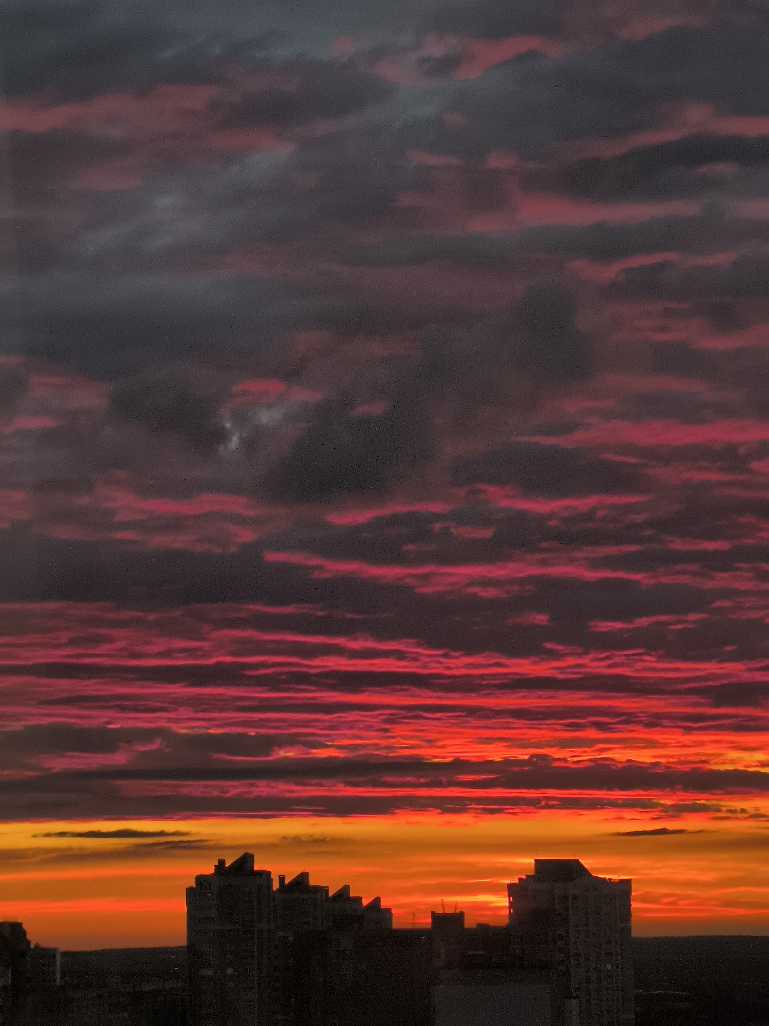 Fiery sunset over a city skyline, plus a dog's paws