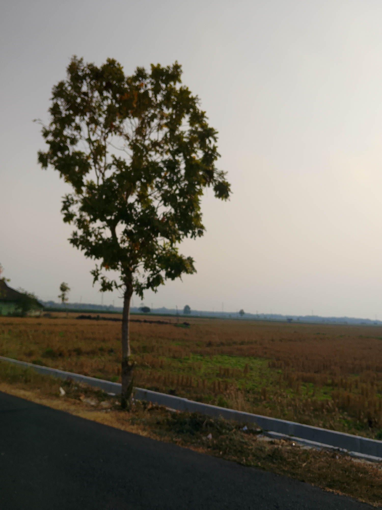 Flag-lined streets and rural life in Ngadrin, Indonesia