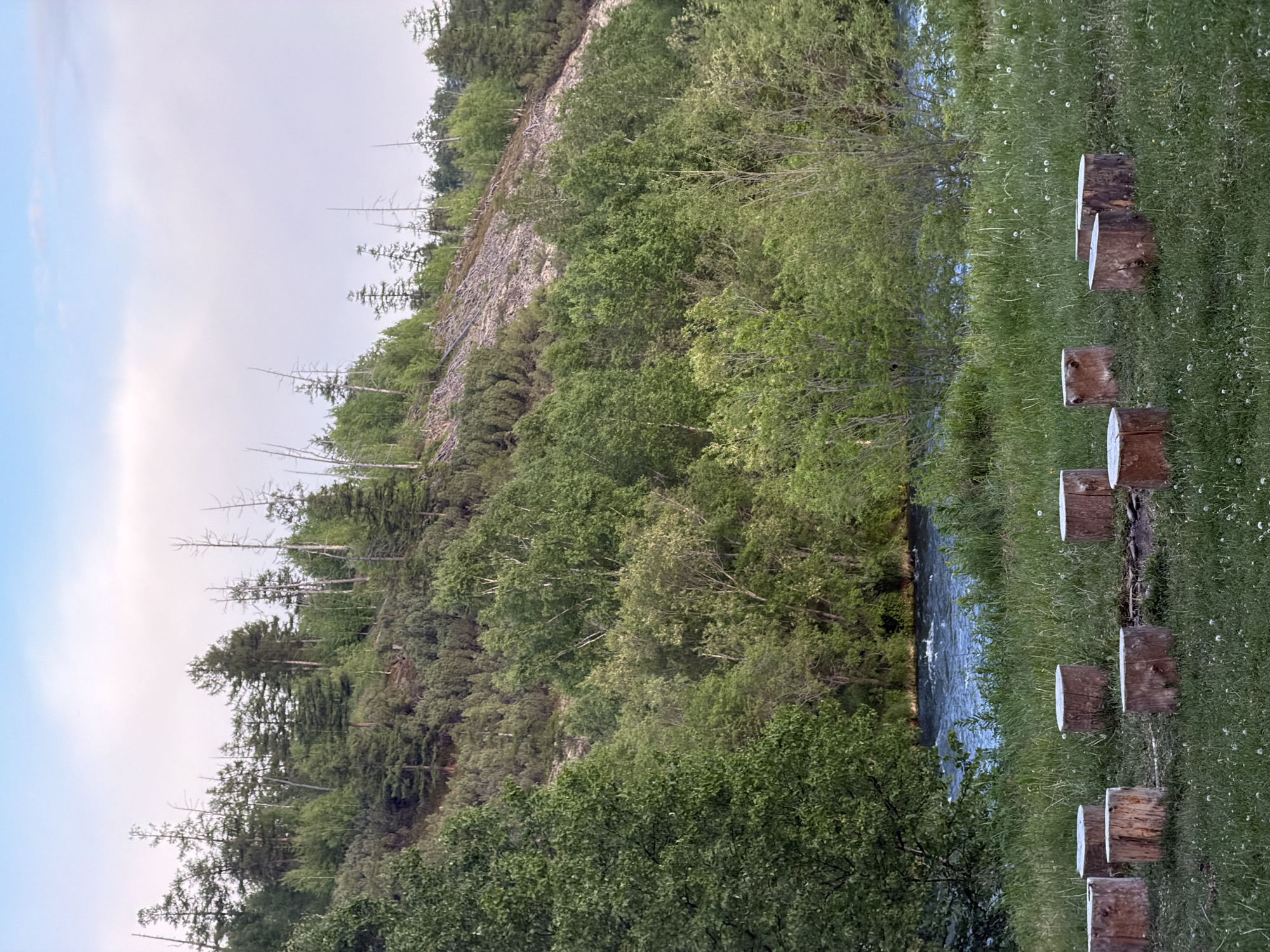 Glamping site and wedding arch setup along a river in Esso