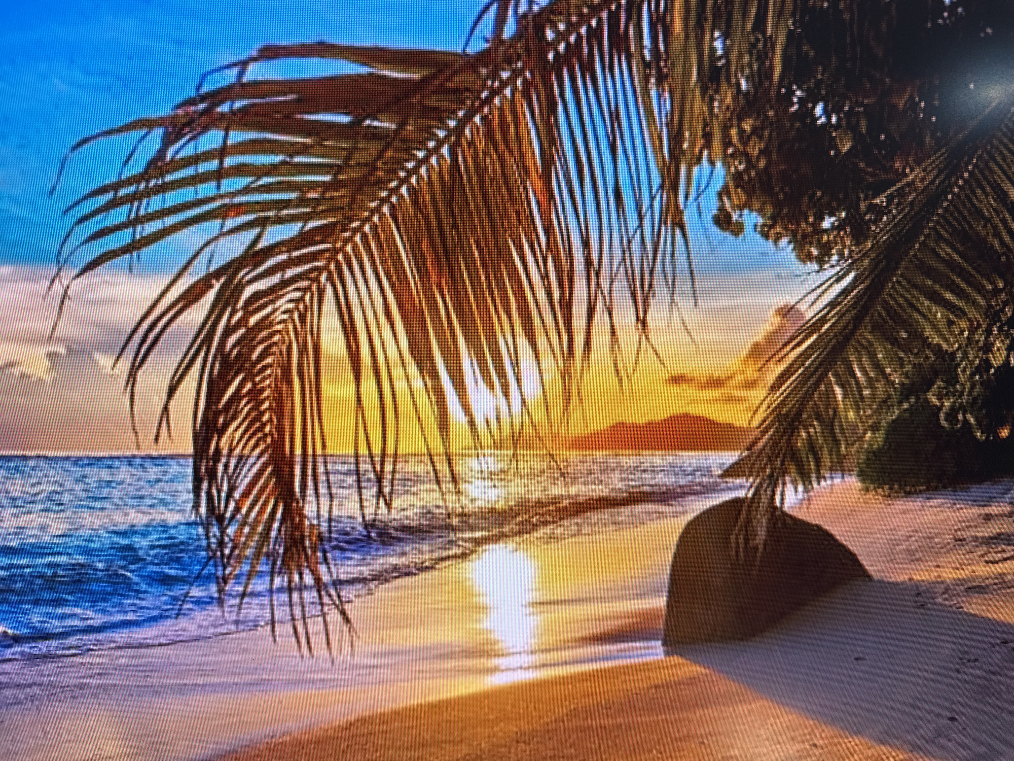 Tropical beach photos, mismatched metadata, and one random fan