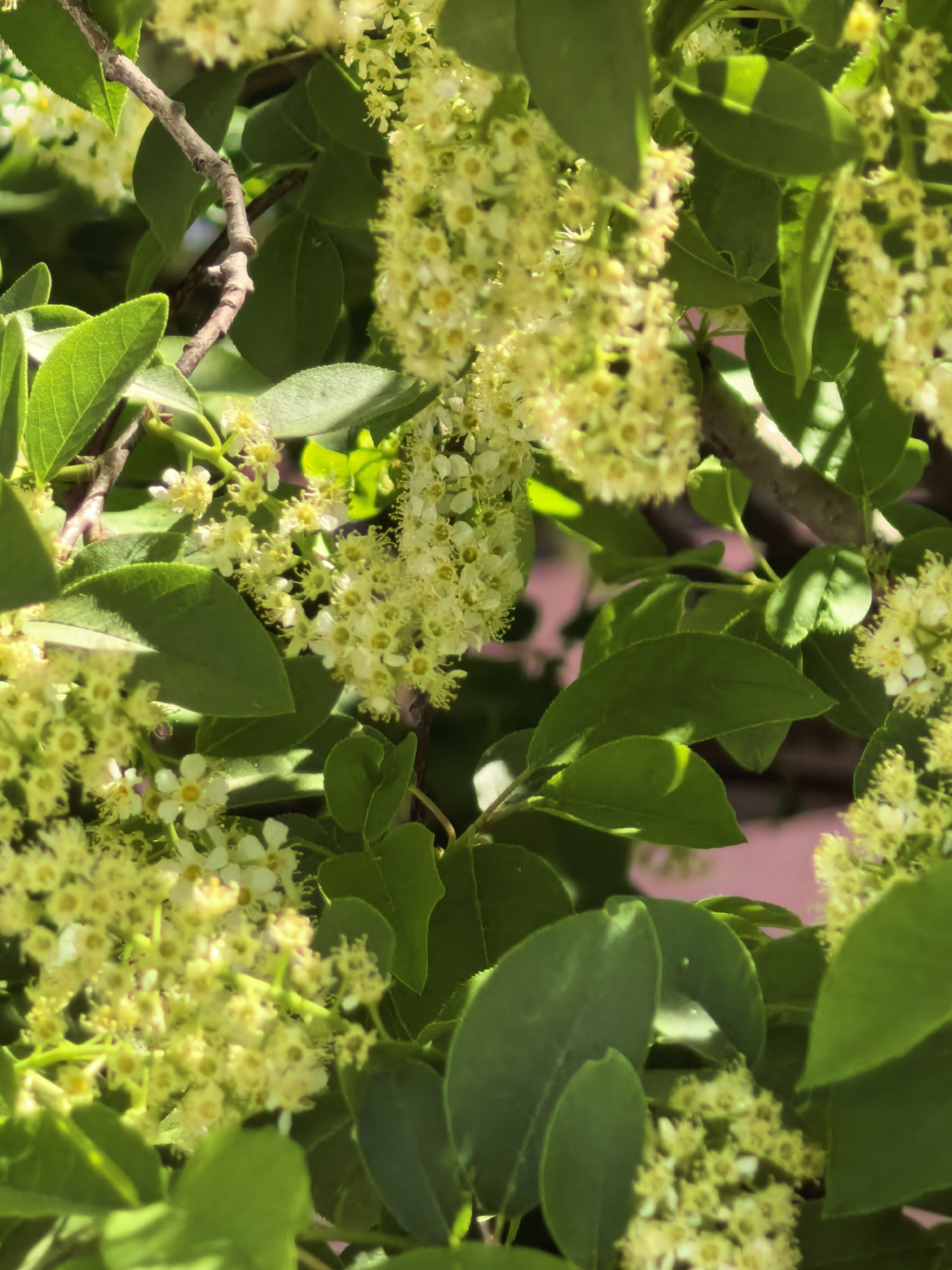 Spring morning documented in residential Sterlitamak, Russia