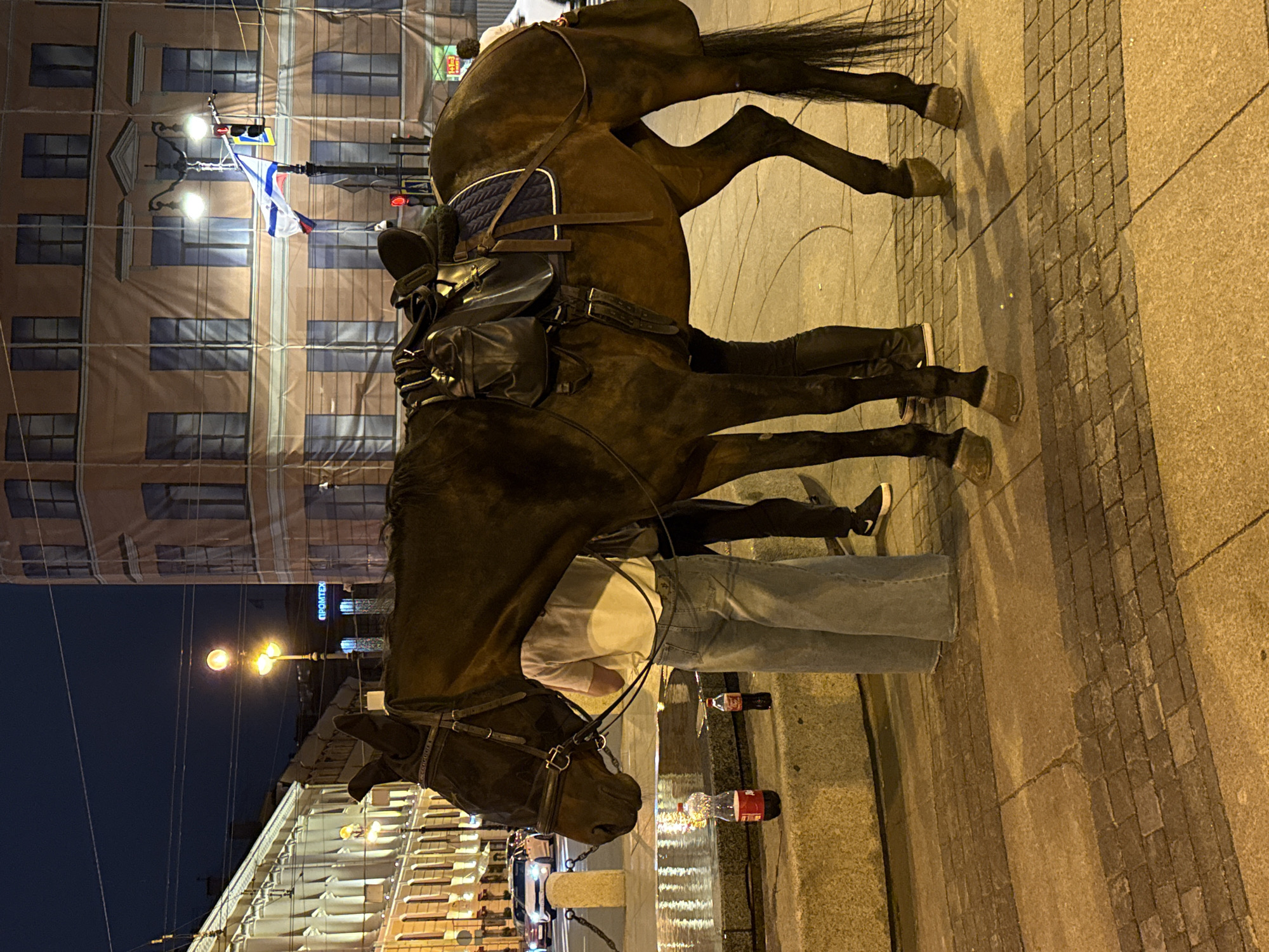 Saint Petersburg evening scenes include saddled horse, illuminated cathedrals